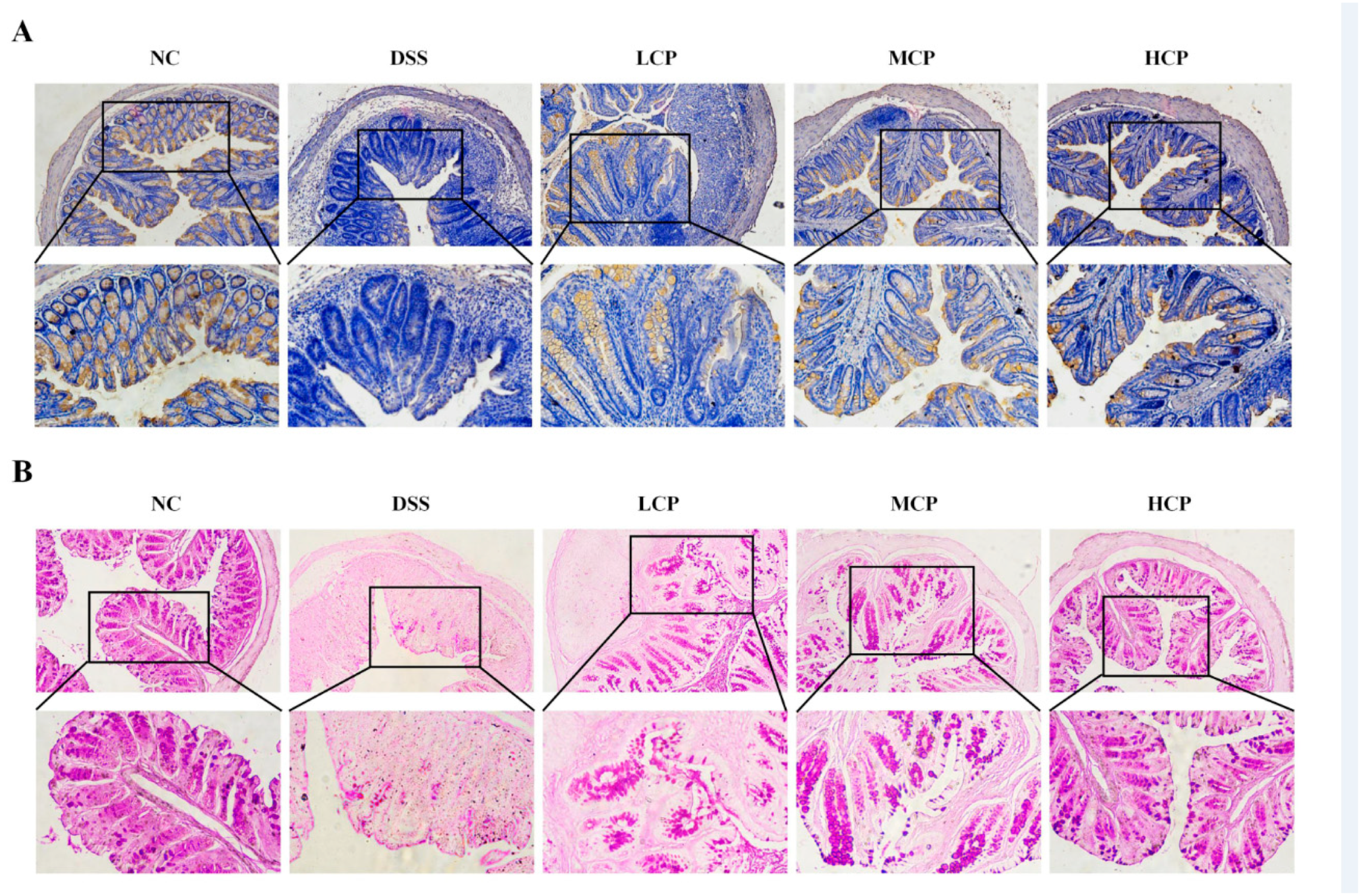 Molecules 28 06849 g005