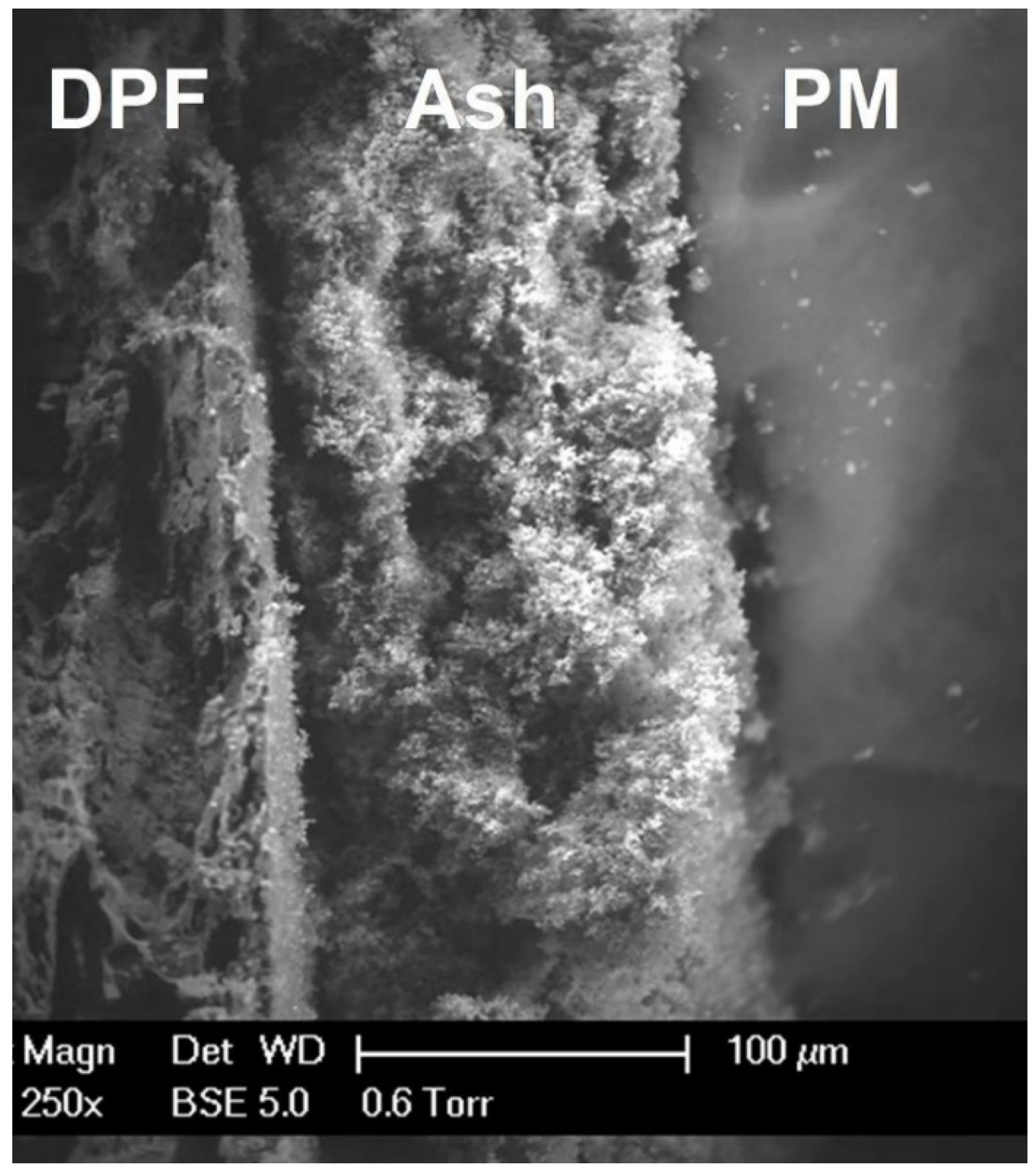 Molecules 28 06884 g002