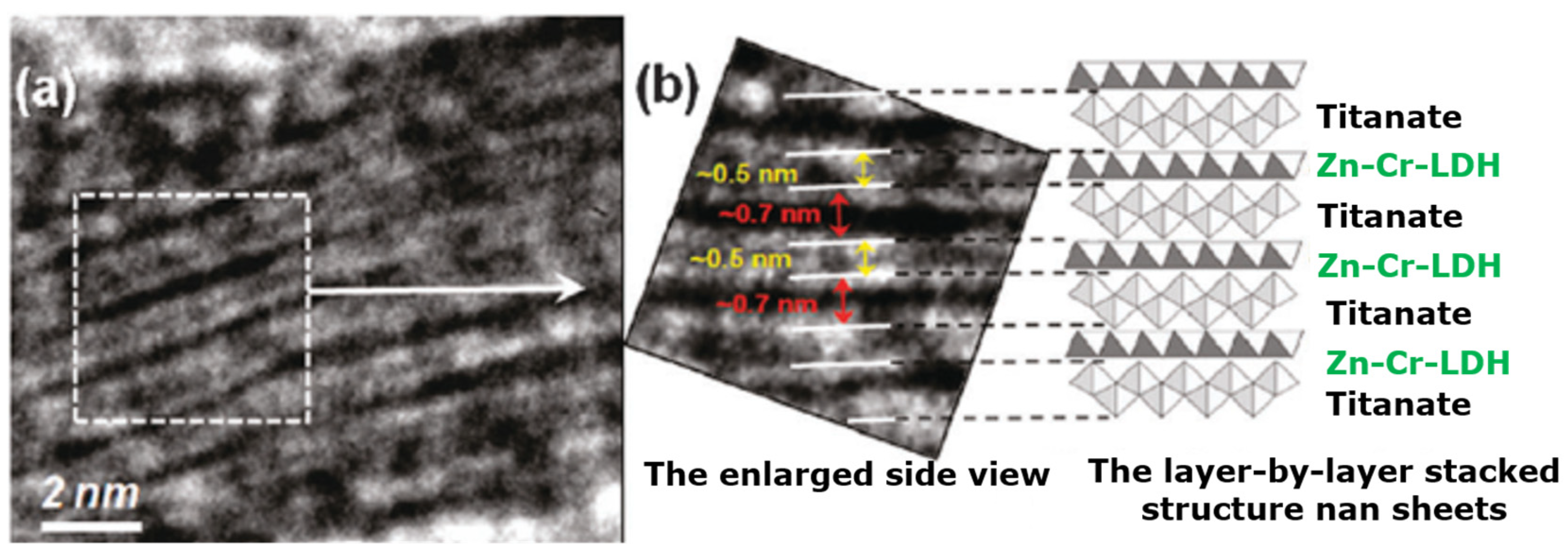 Molecules 28 06884 g009