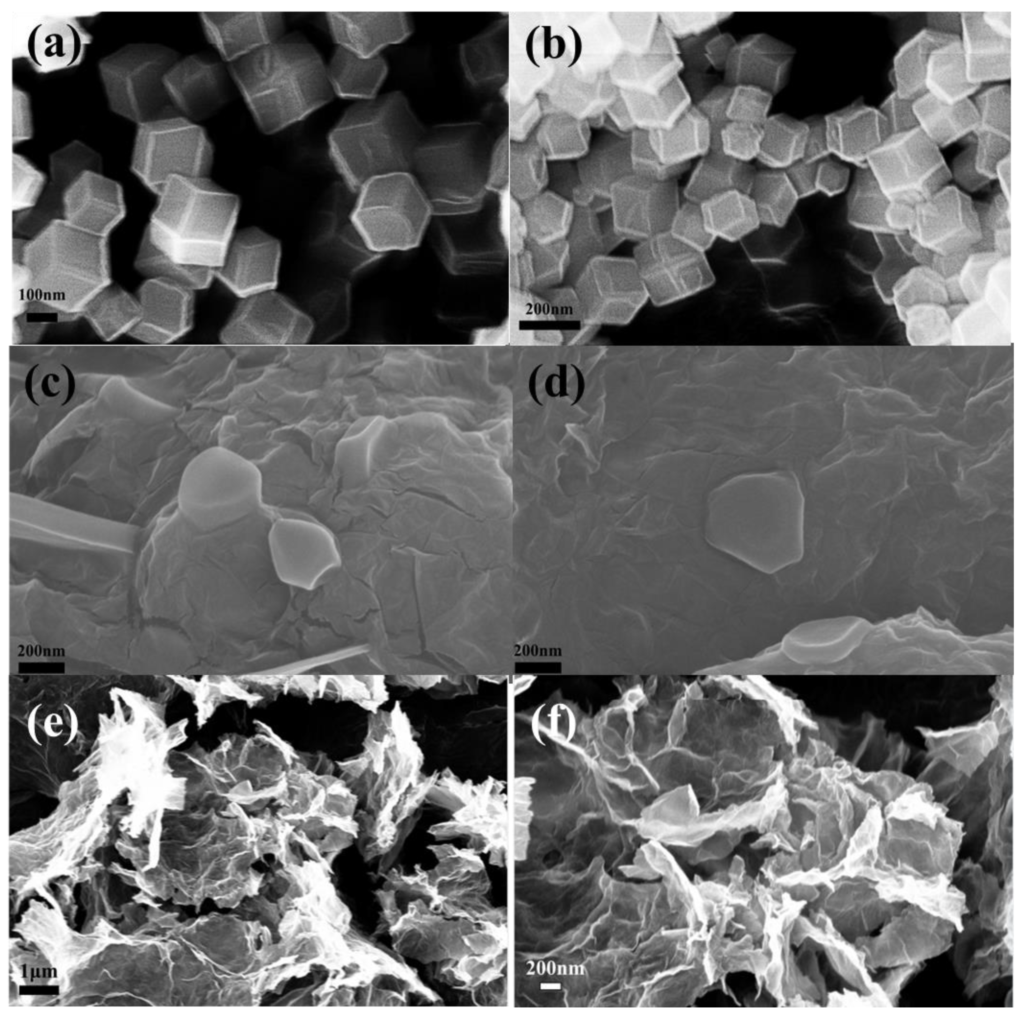 Molecules 28 06914 g003