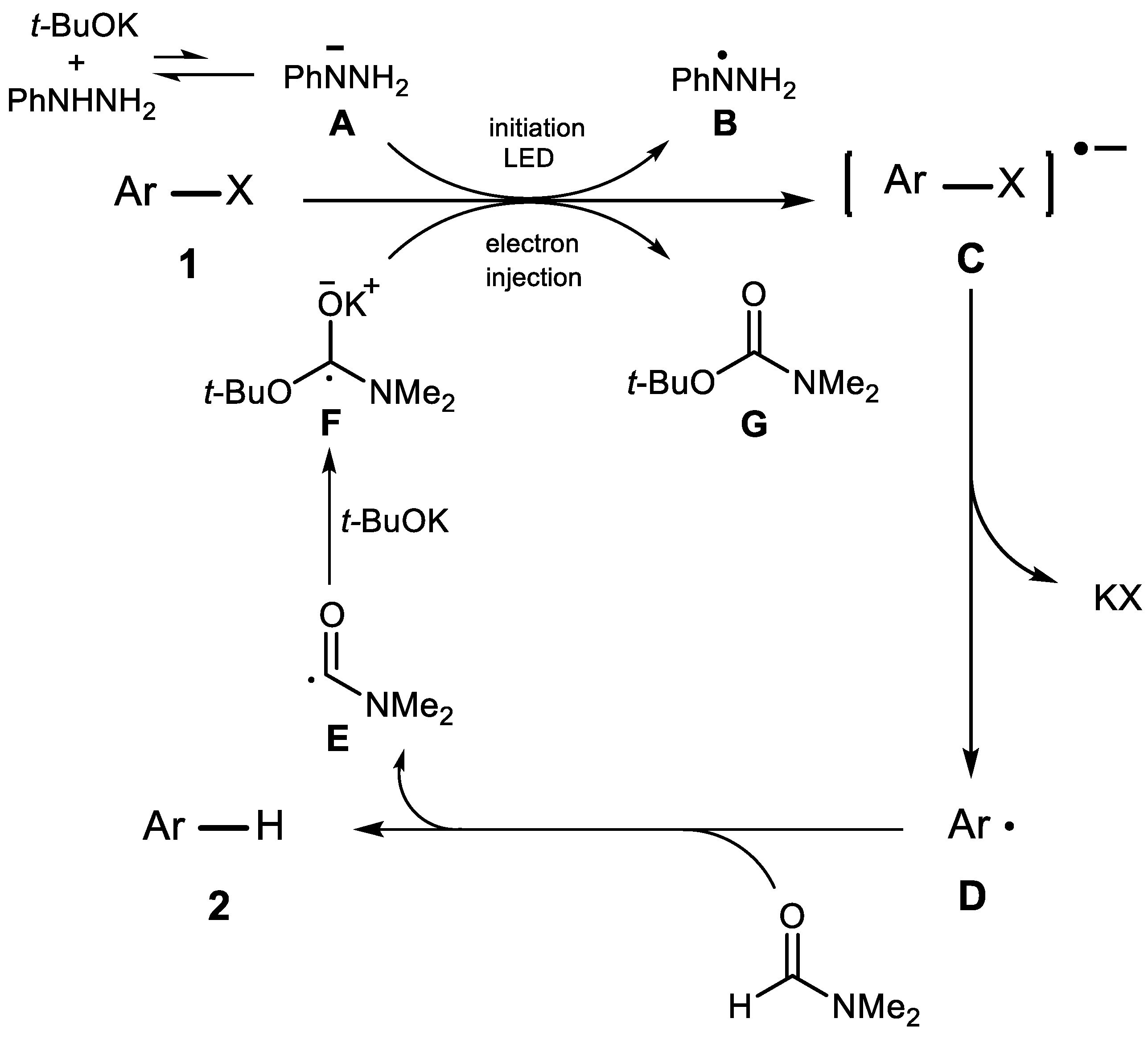 Molecules 28 06915 sch005