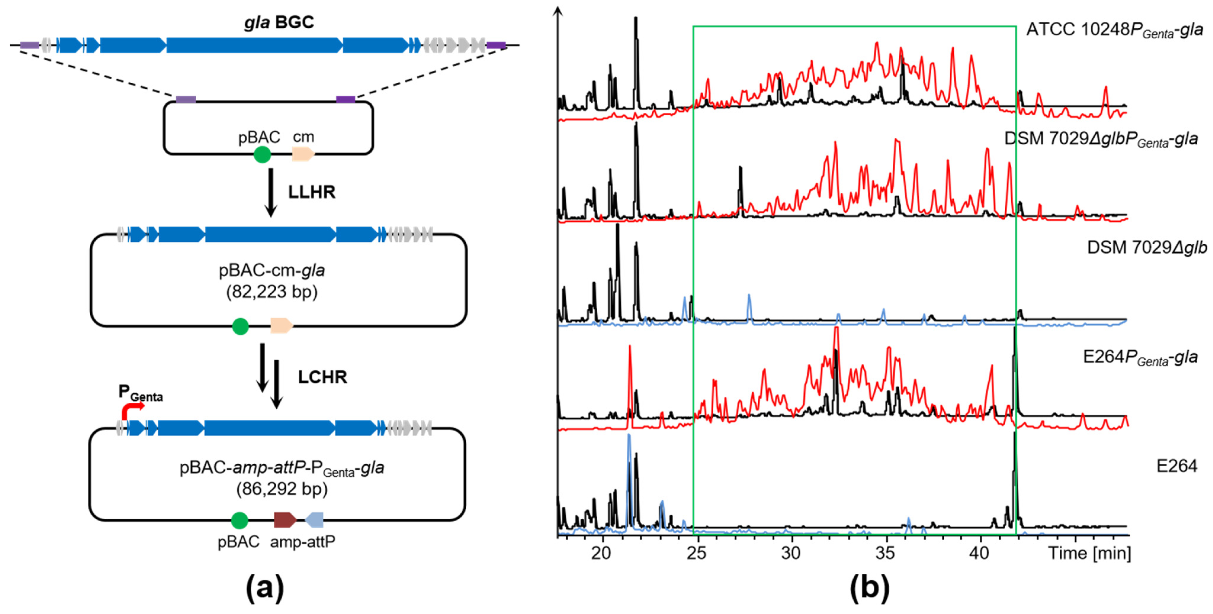 Molecules 28 06937 g005