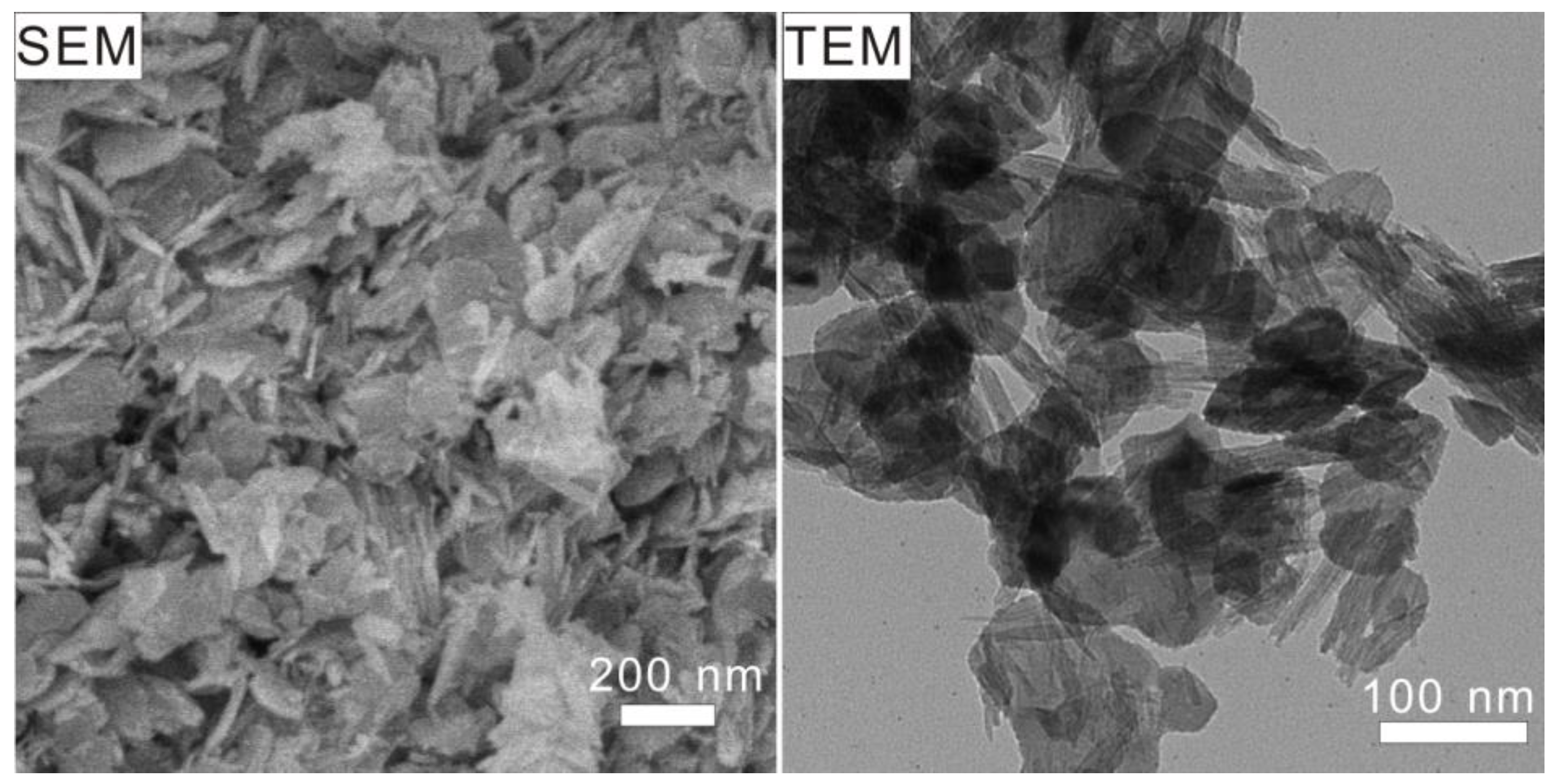 Molecules 28 06949 g009