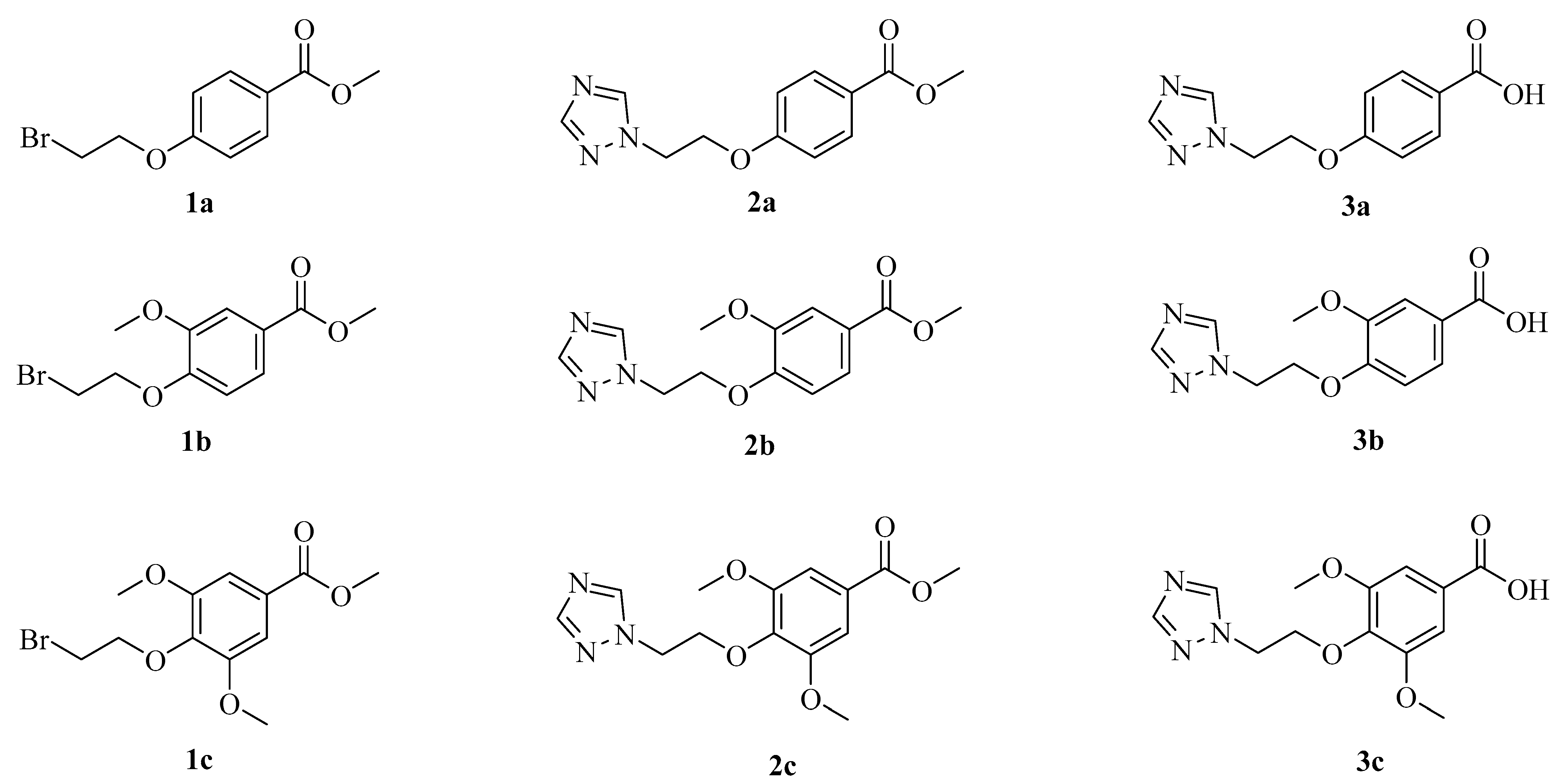 Molecules 28 06970 g002