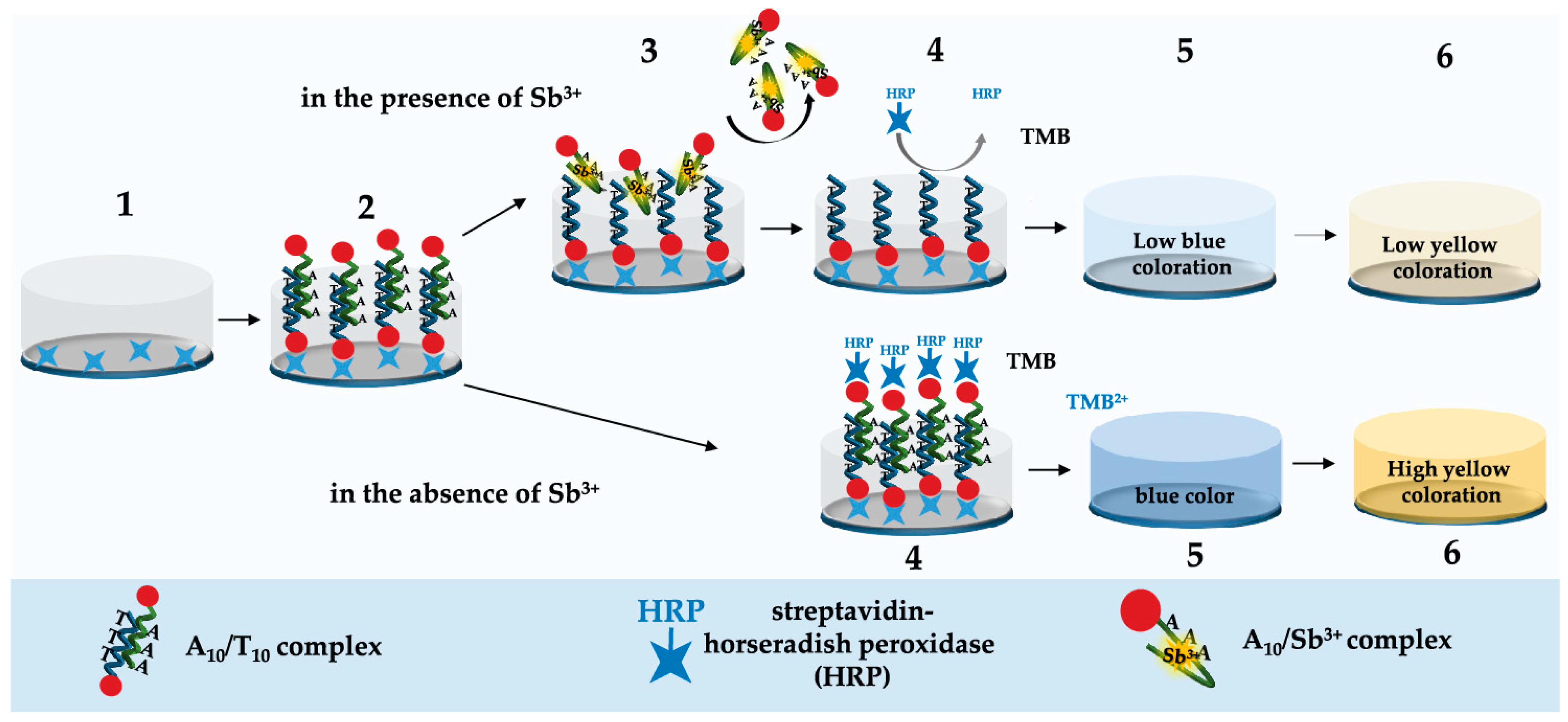 Molecules 28 06973 g001 Molecules 28 06973 g001
