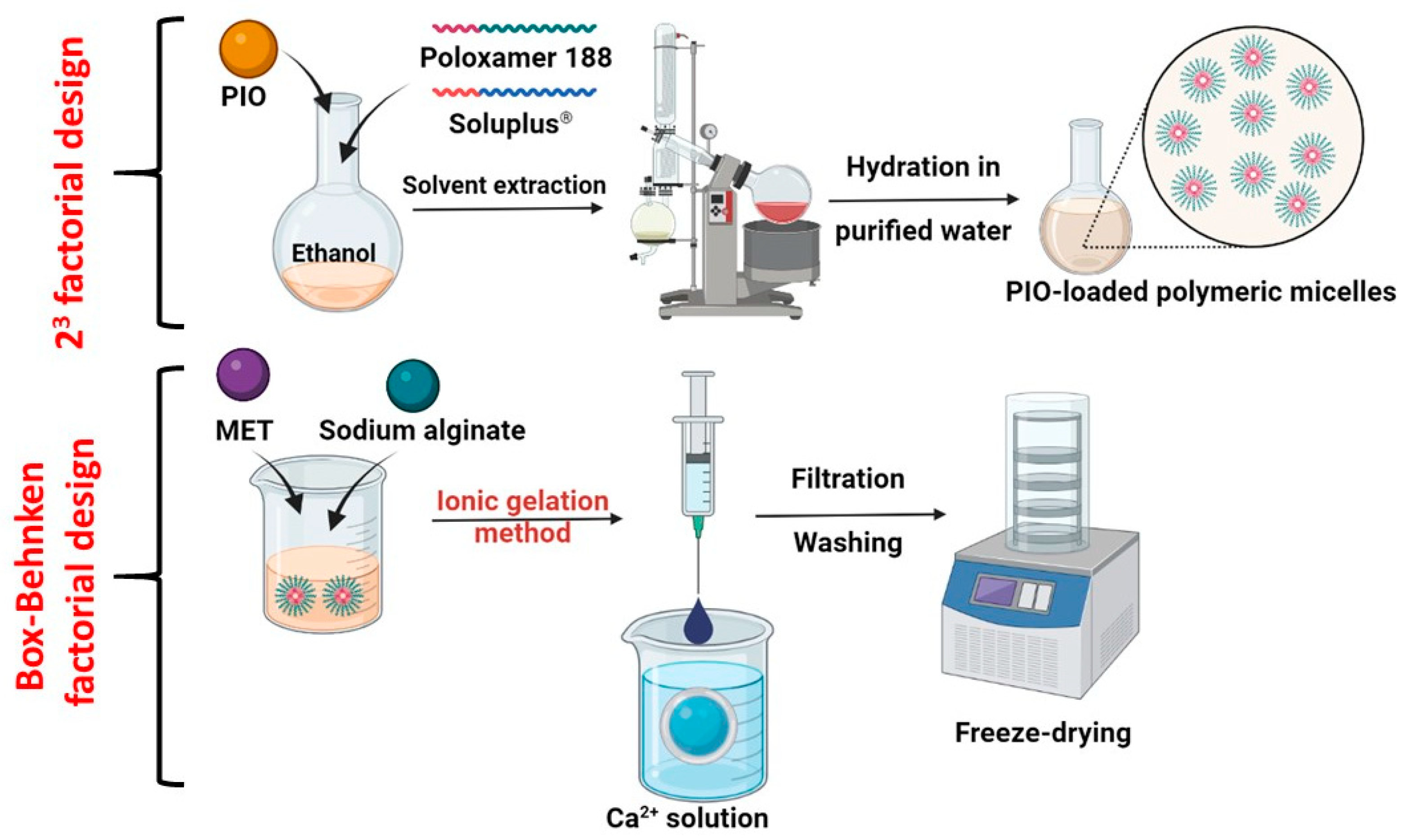 Molecules | Free Full-Text | Optimization and Characterization of ...