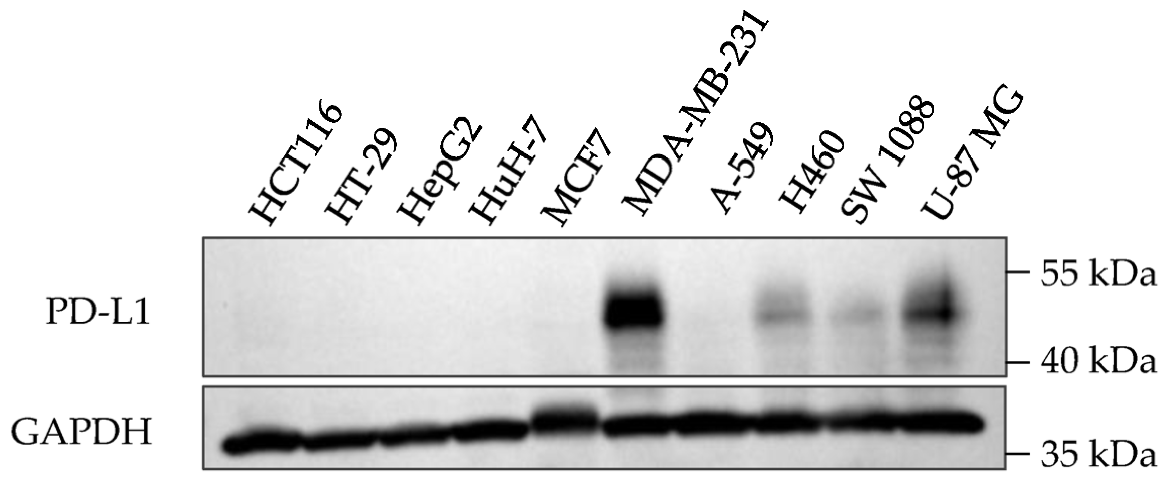 Molecules 28 06991 g003 Molecules 28 06991 g003