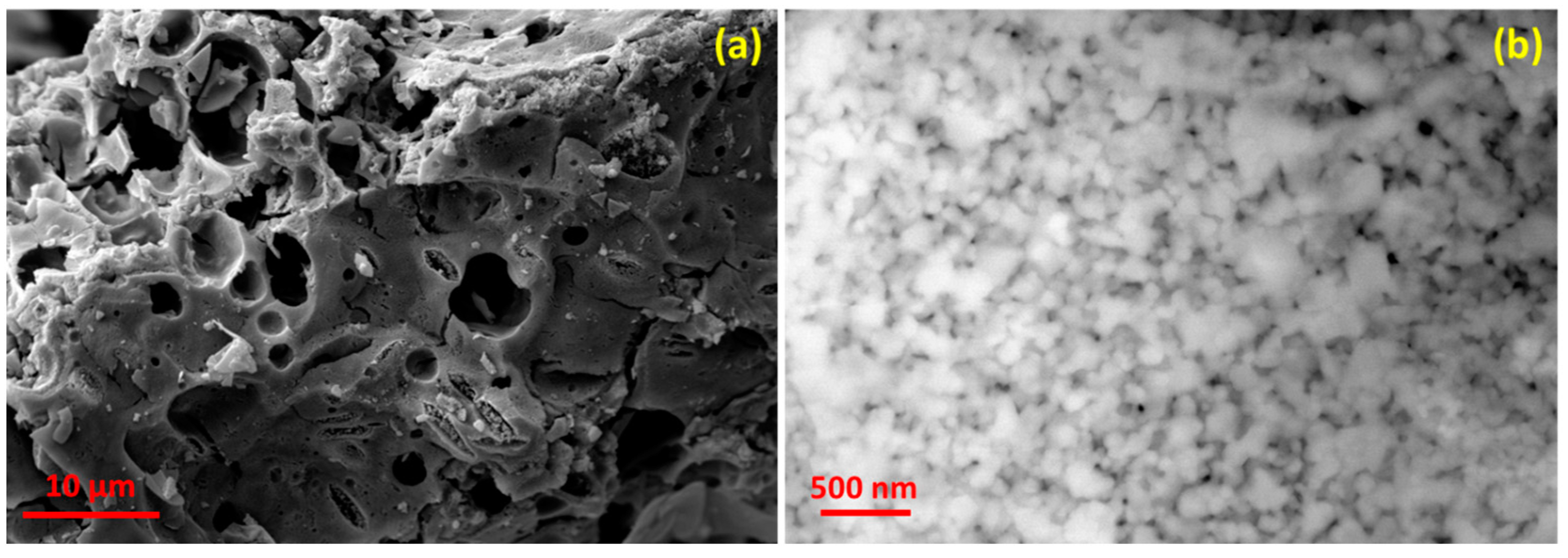 Molecules 28 07010 g004