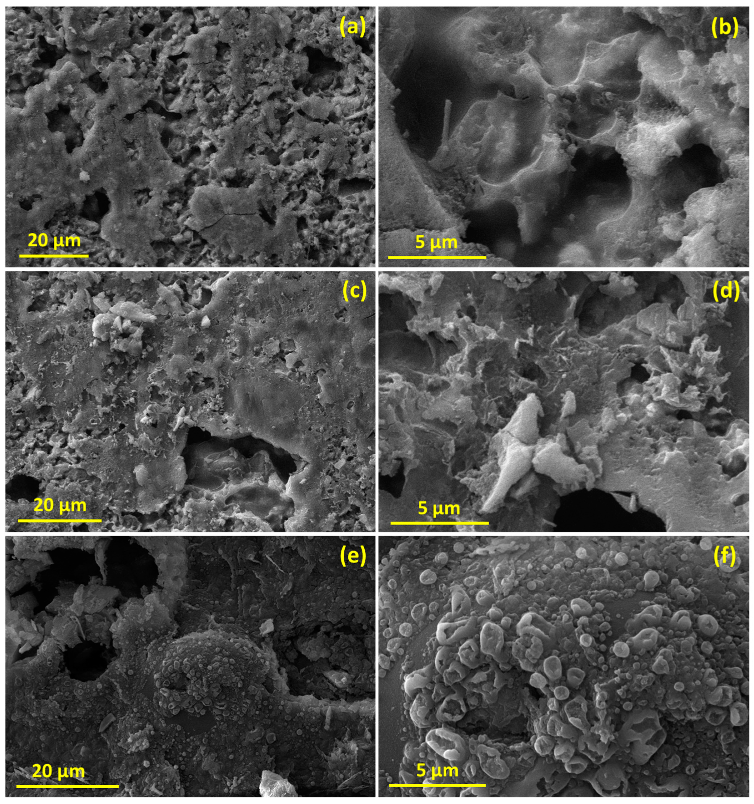Molecules 28 07010 g013