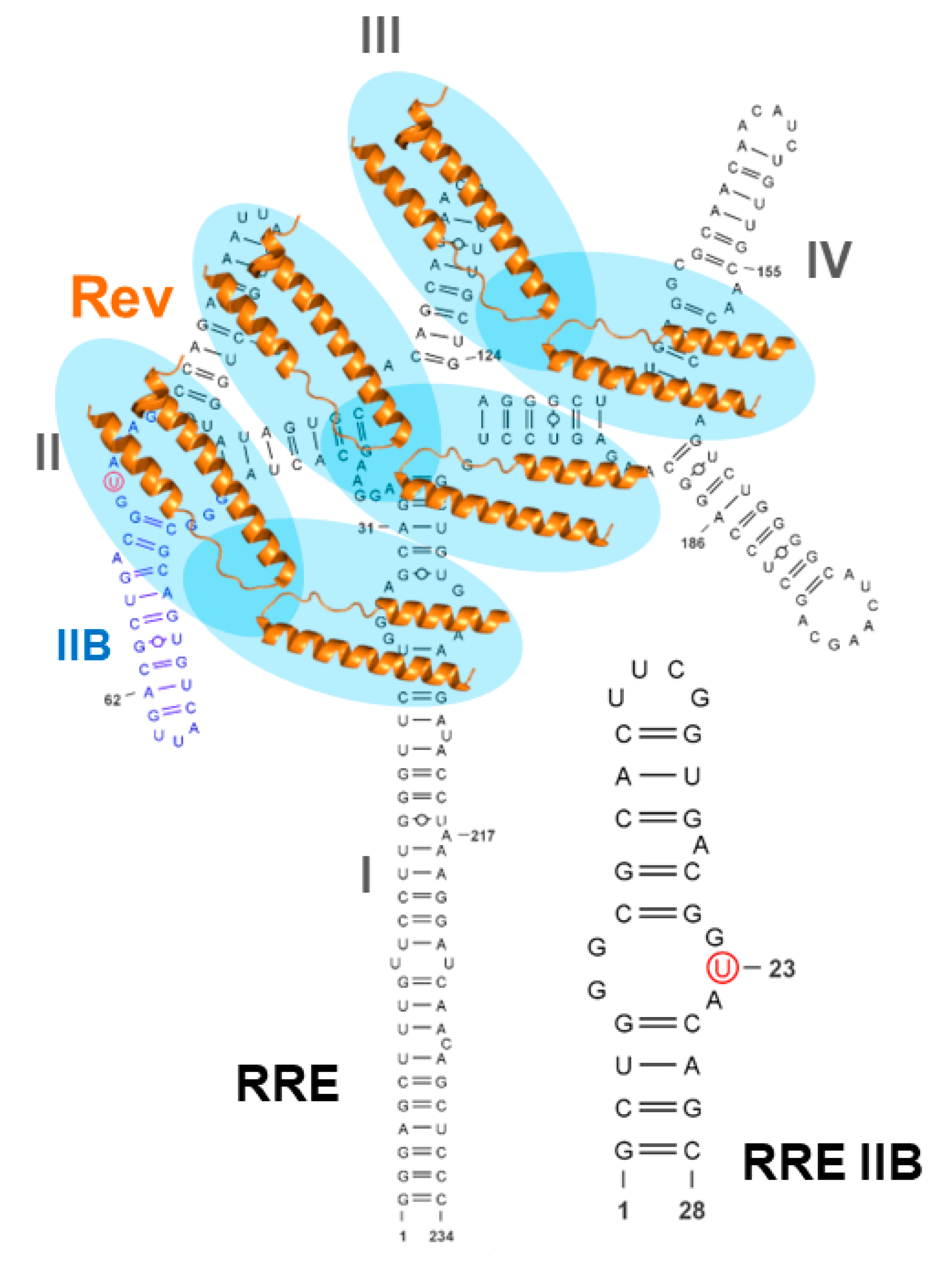 Molecules 28 07031 g001