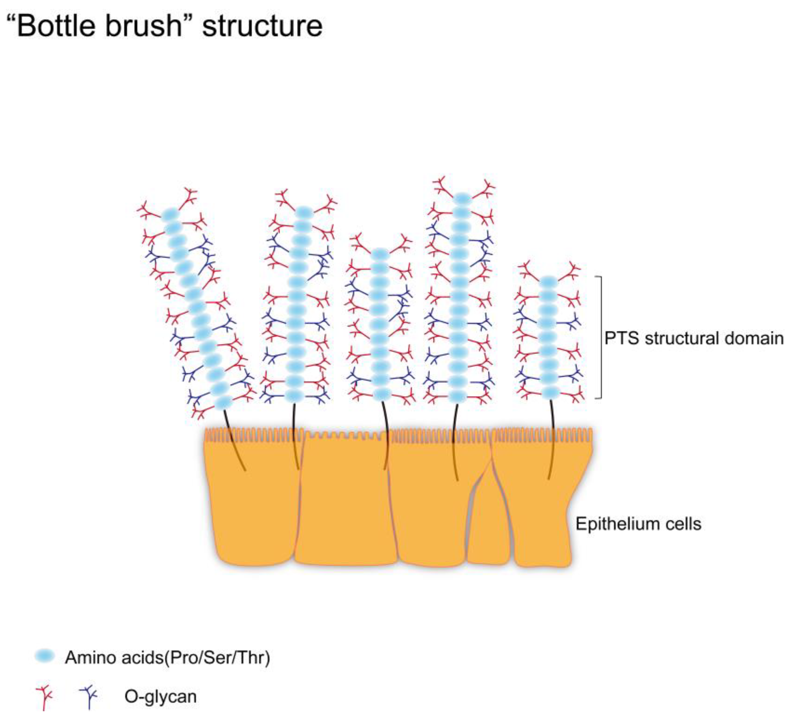 Molecules 28 07033 g002 Molecules 28 07033 g002