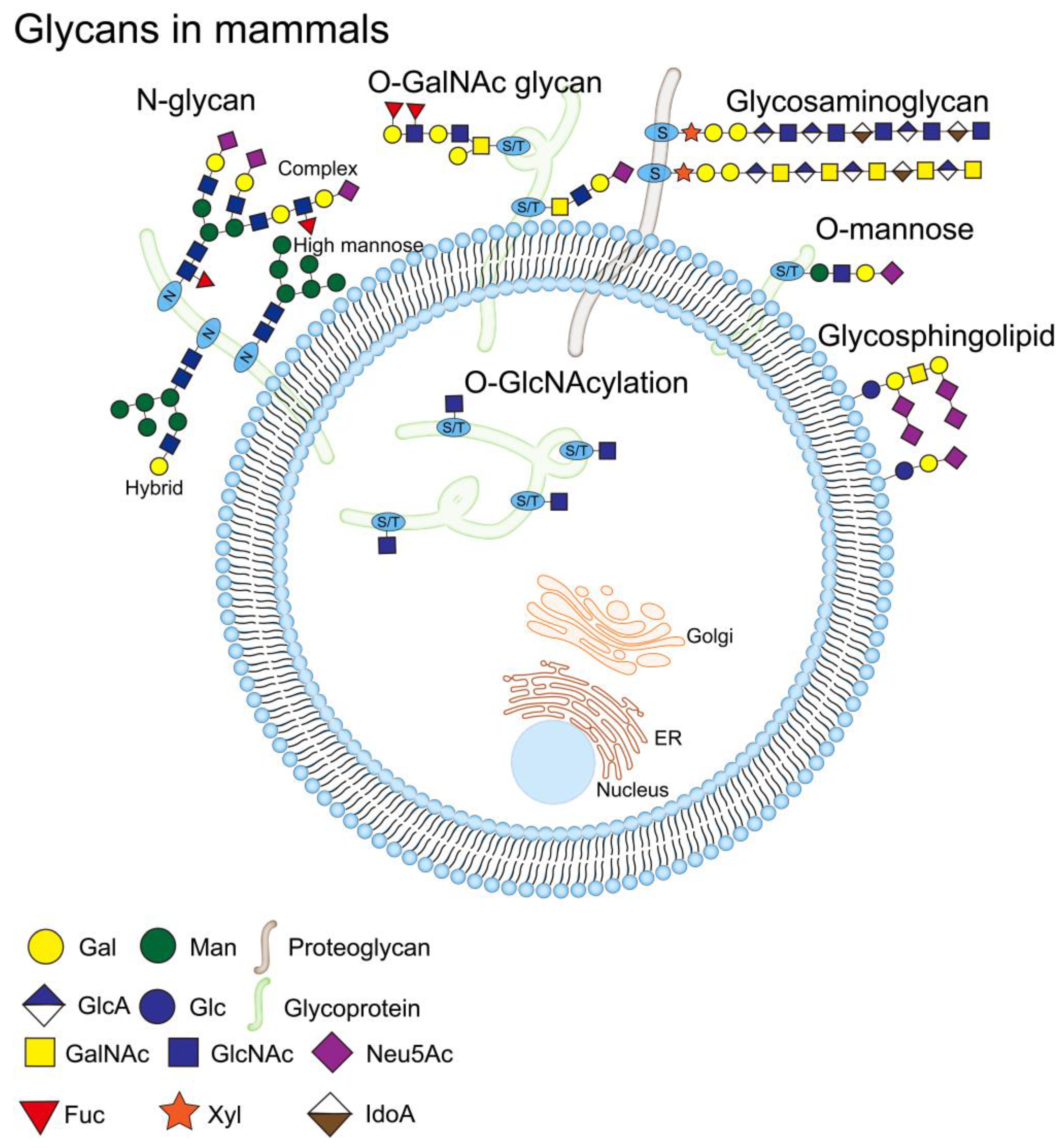 Molecules 28 07033 g003 Molecules 28 07033 g003