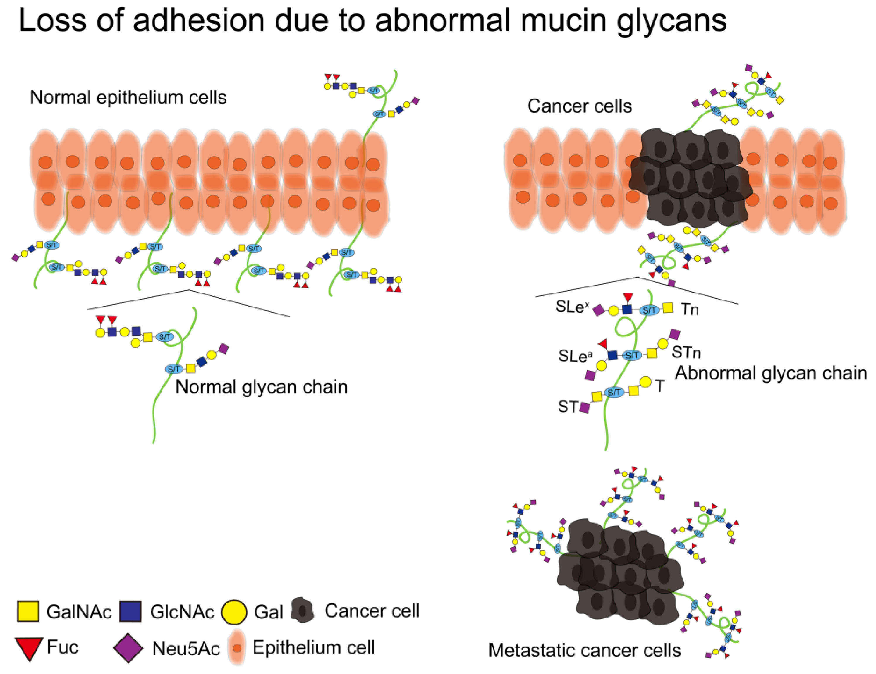 Molecules 28 07033 g005 Molecules 28 07033 g005
