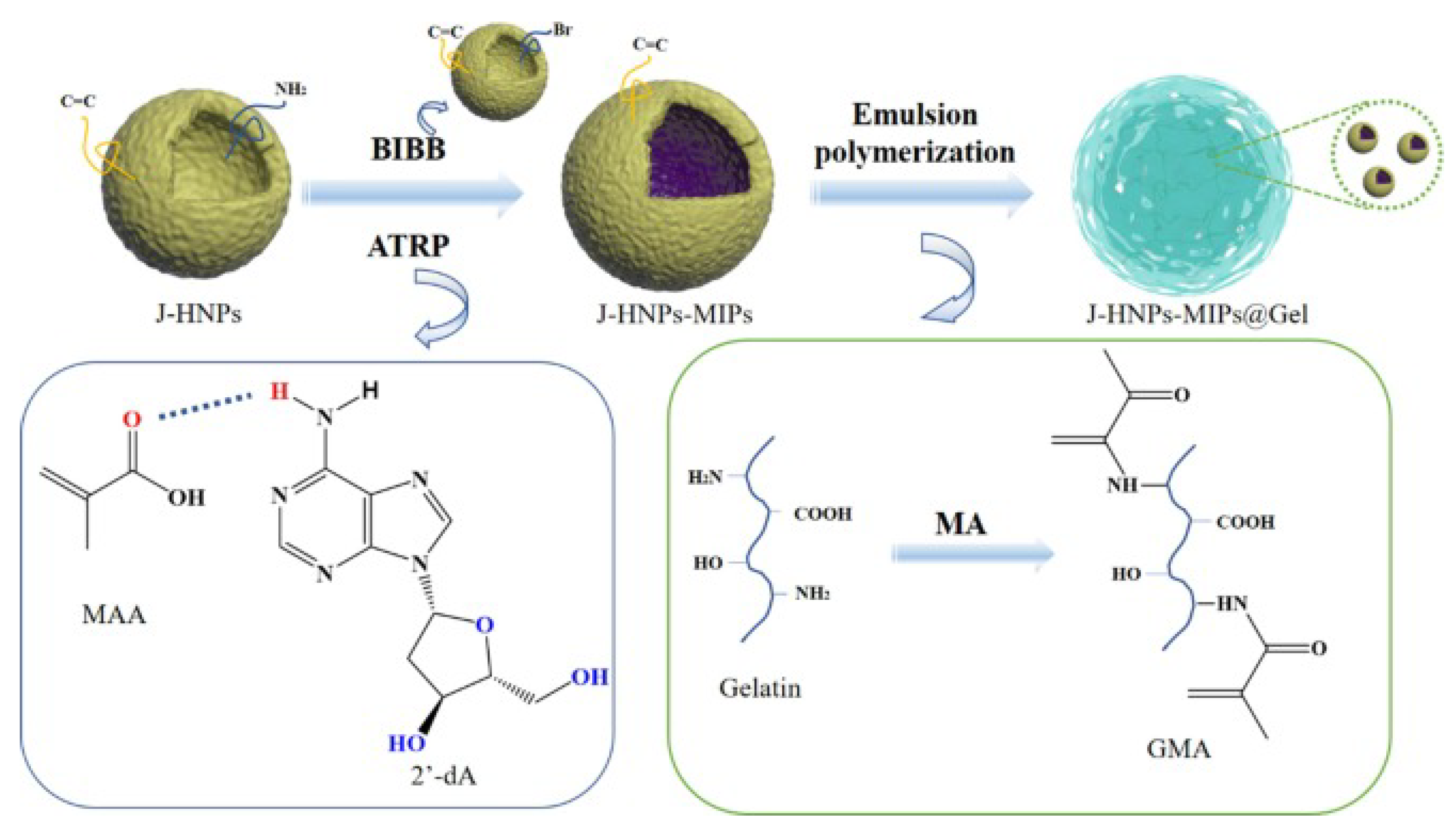 Molecules 28 07043 g007