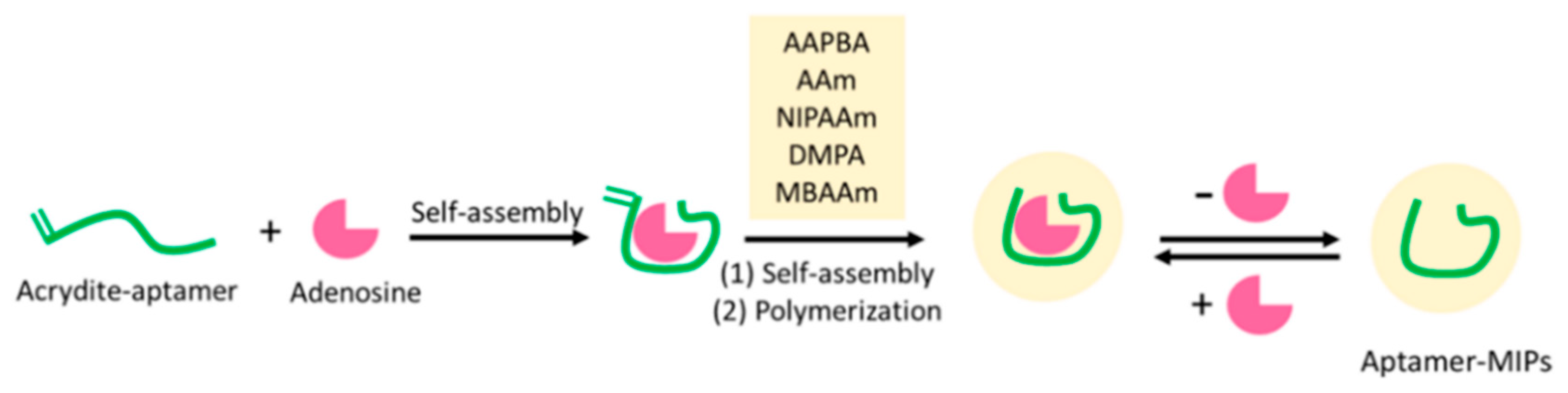 Molecules 28 07043 g009