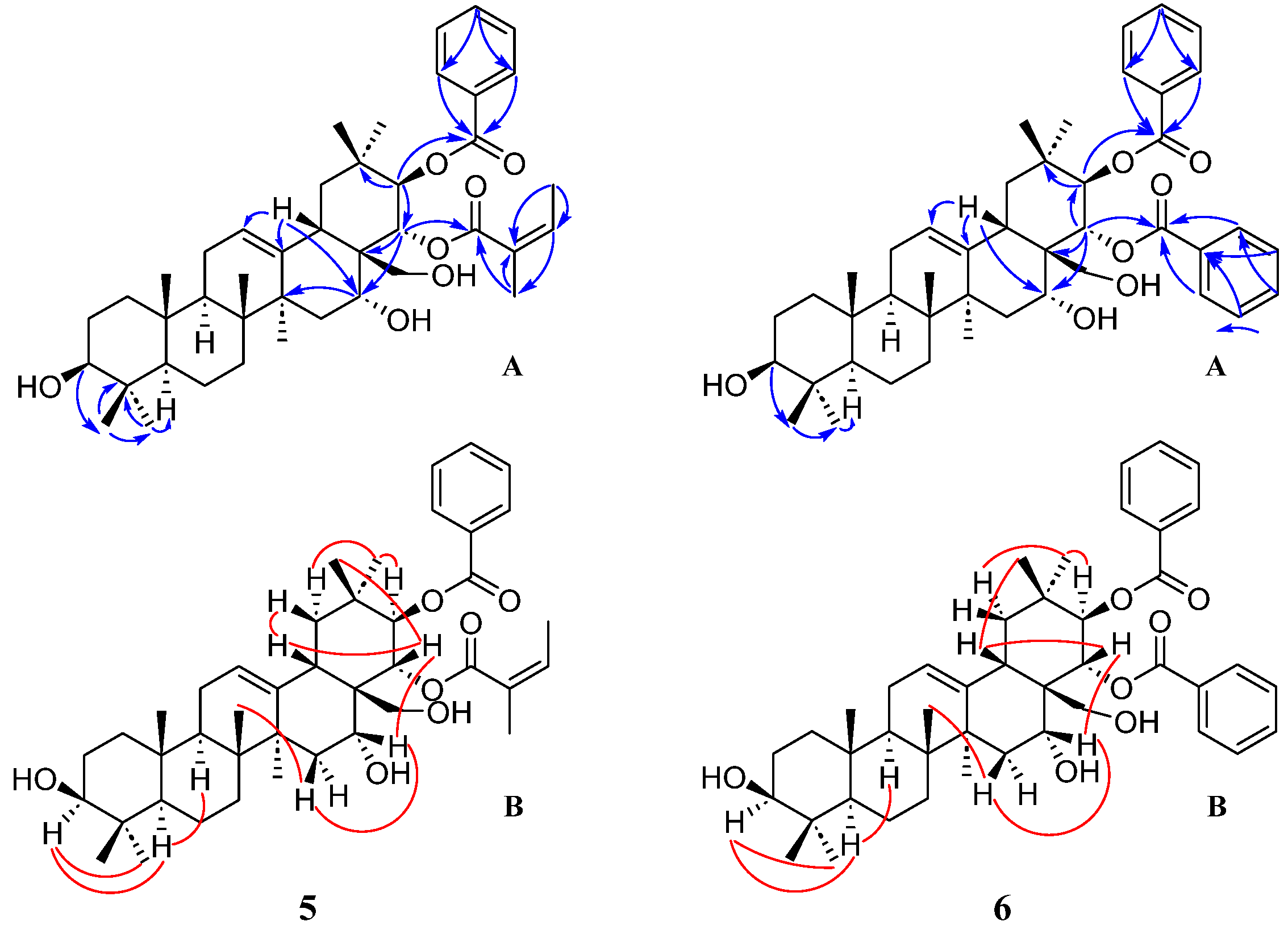 Molecules 28 07058 g003 Molecules 28 07058 g003