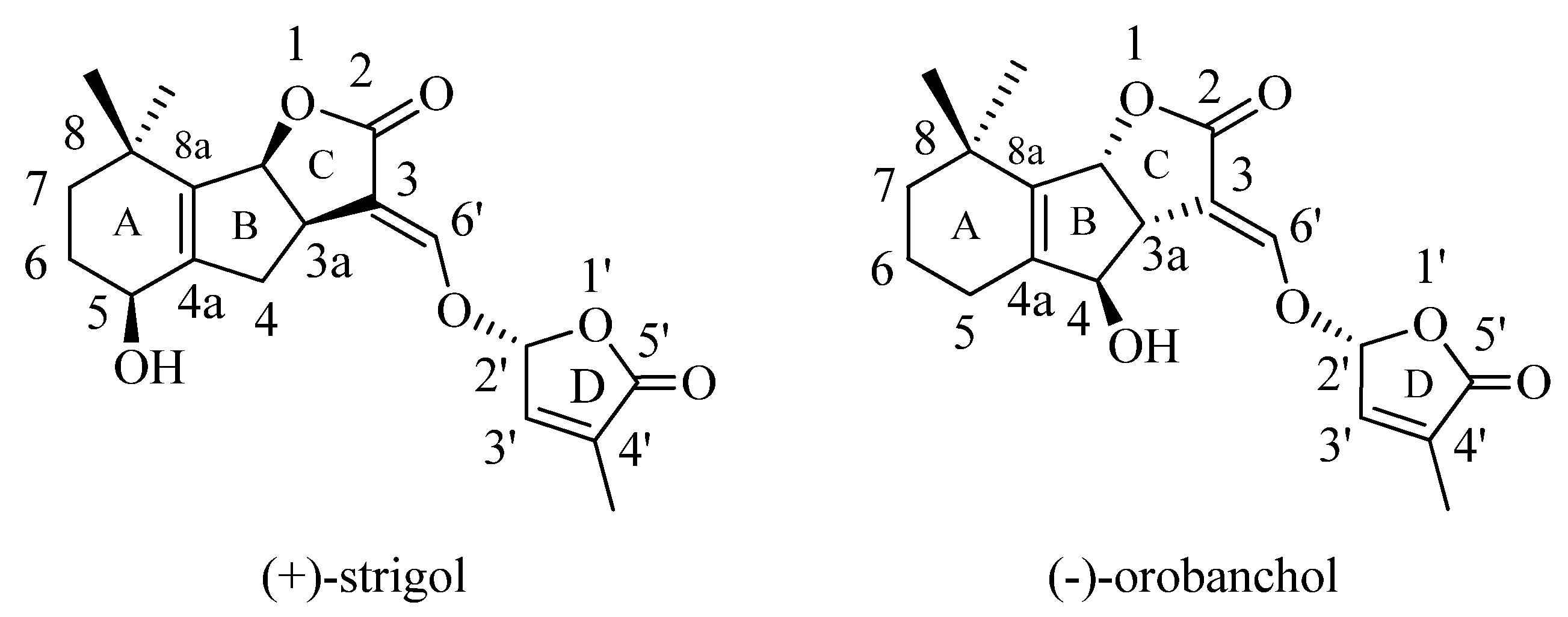 Molecules 28 07059 g001