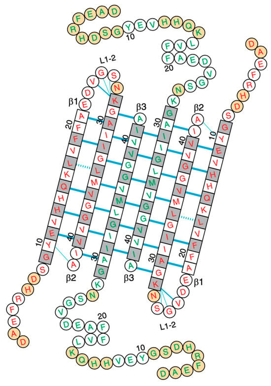 Aβ(1-42) tetramer and octamer structures reveal edge conductivity pores as  a mechanism for membrane damage