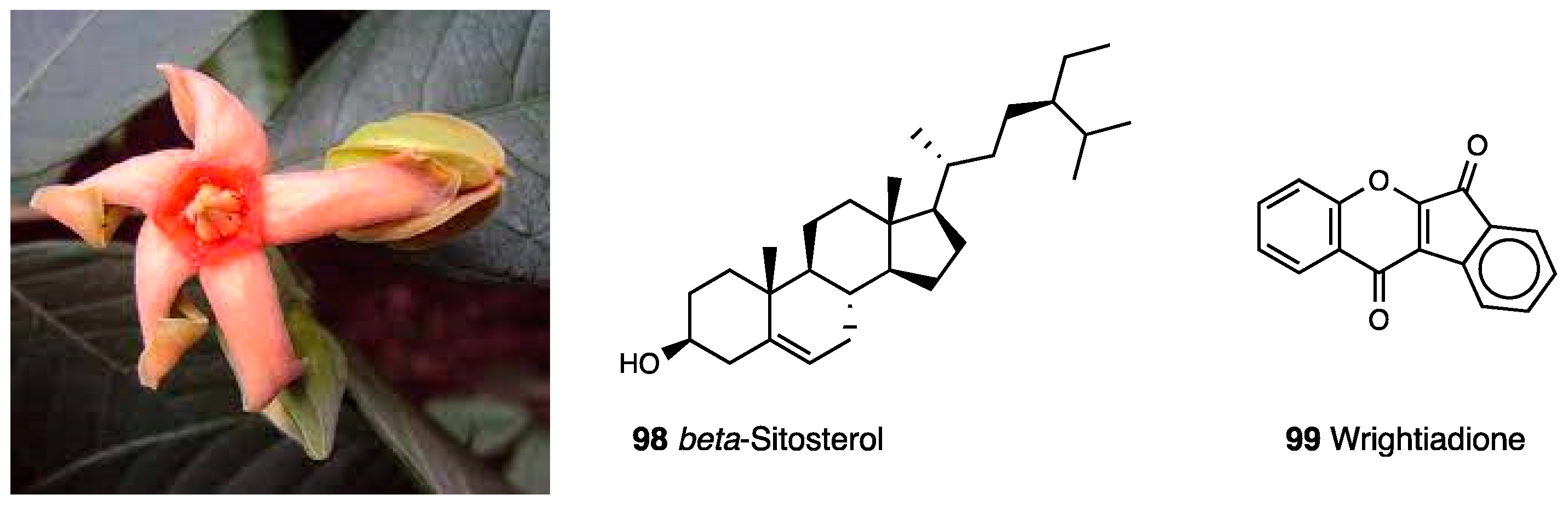 Molecules 28 07089 g044 Molecules 28 07089 g044