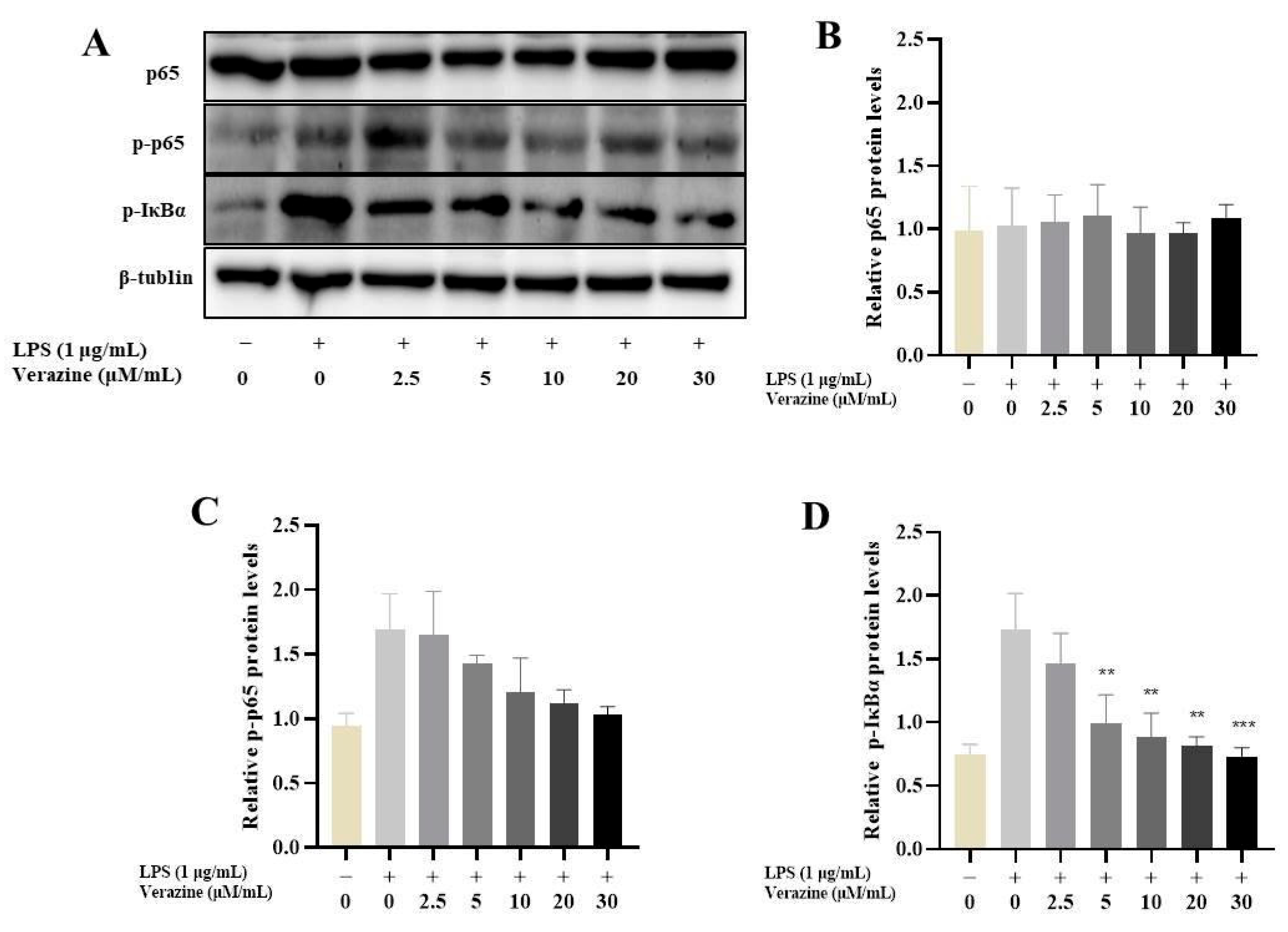 Molecules 28 07116 g006 Molecules 28 07116 g006