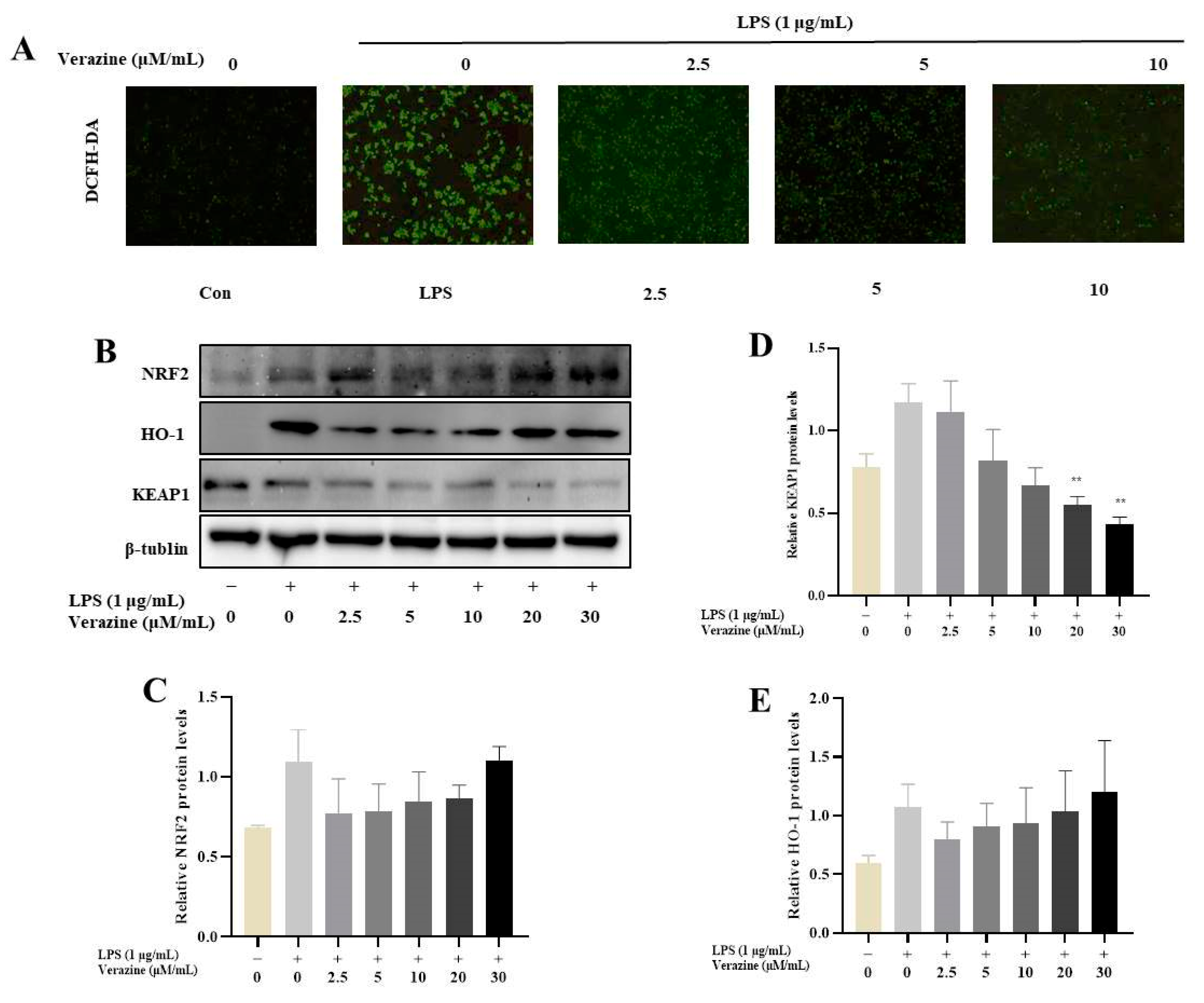Molecules 28 07116 g007 Molecules 28 07116 g007