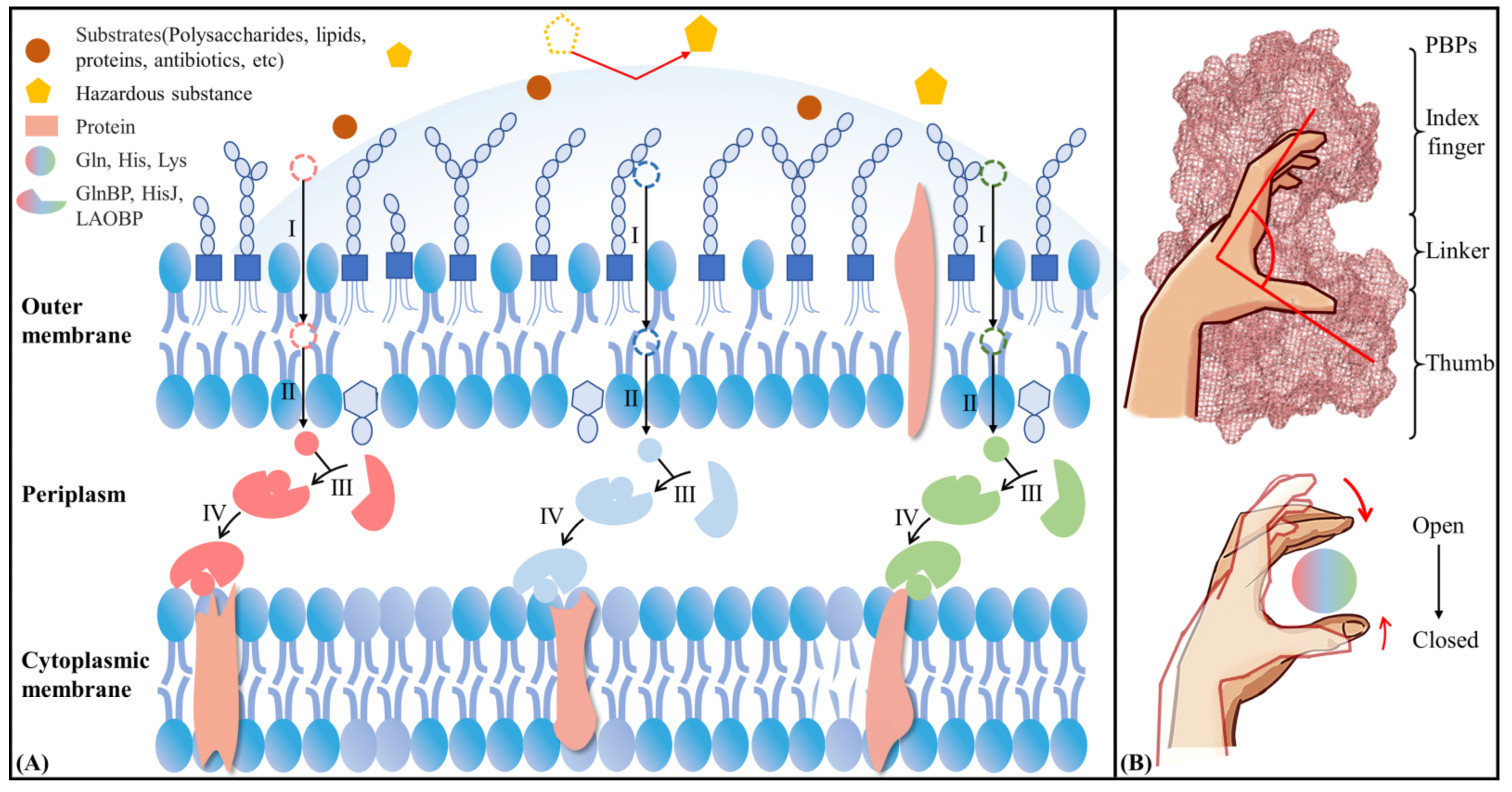 Molecules 28 07139 g001