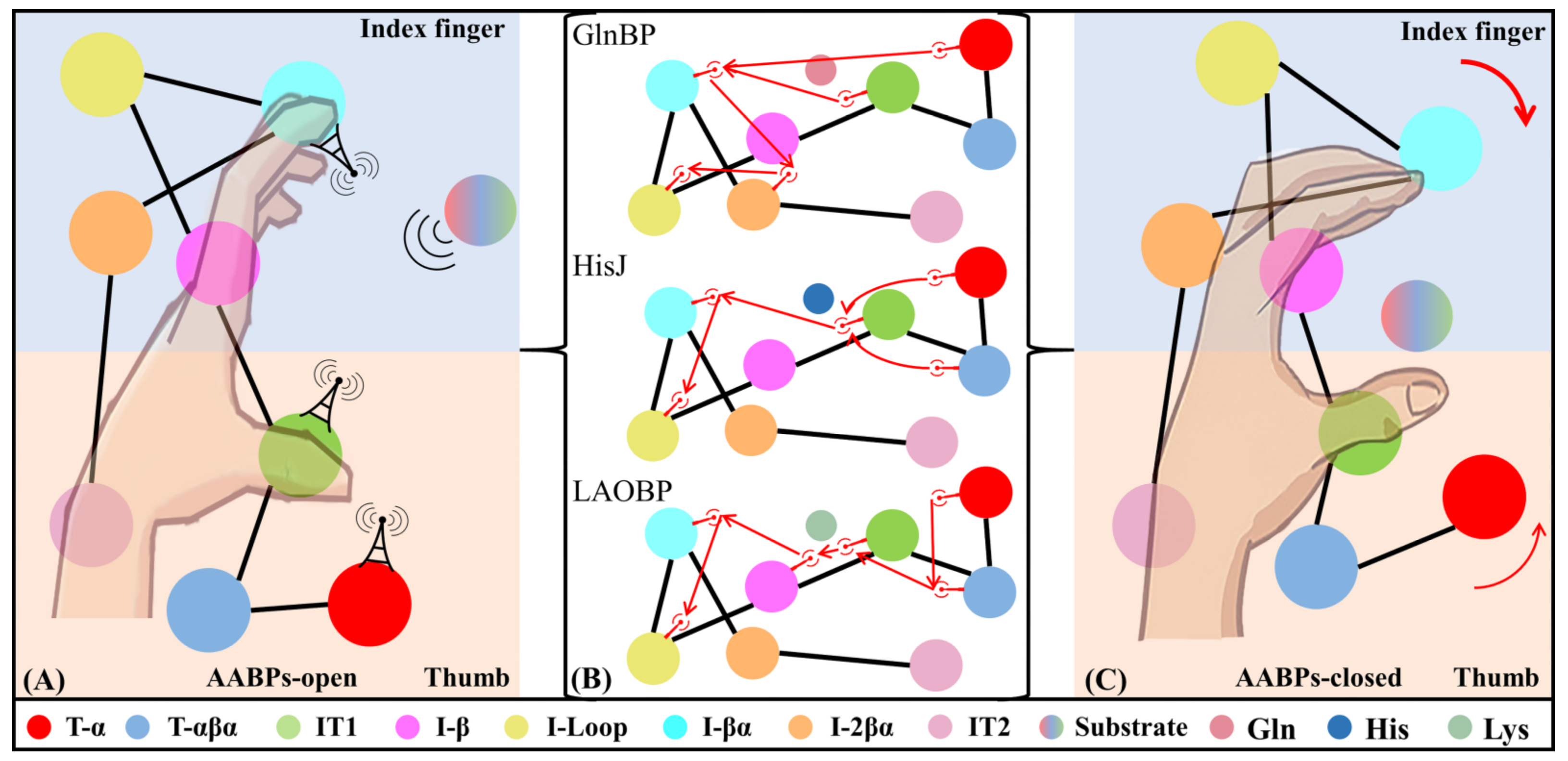 Molecules 28 07139 g010