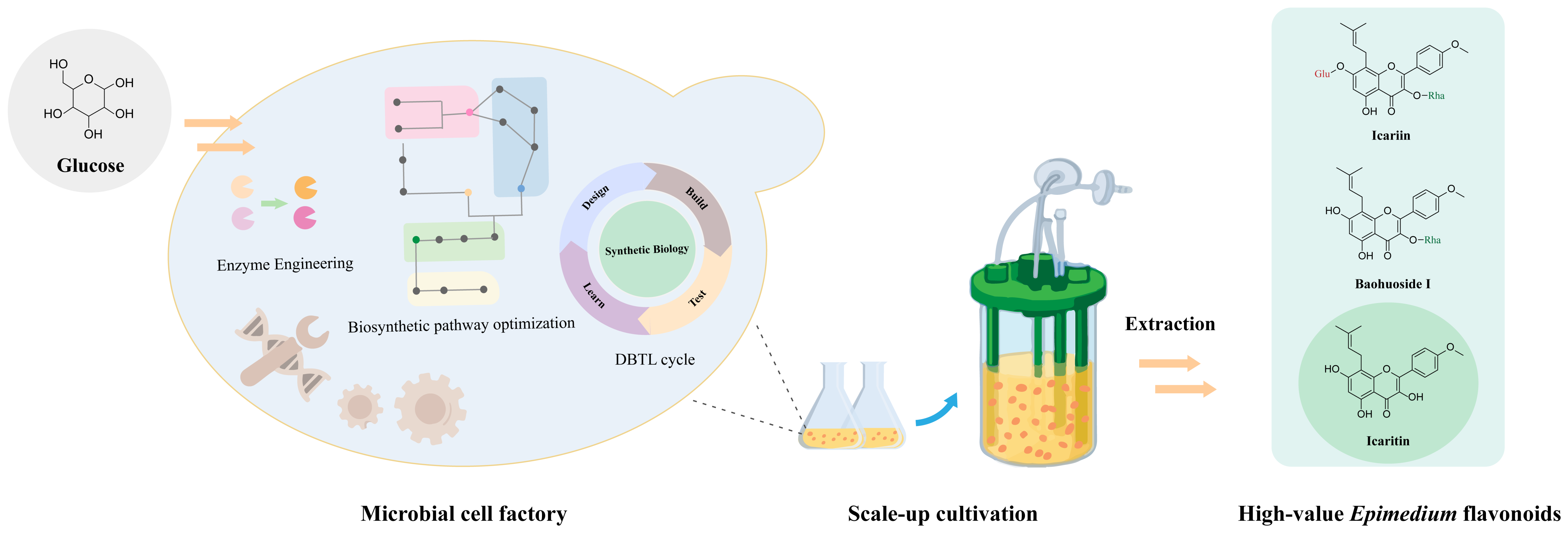 Molecules 28 07173 g006