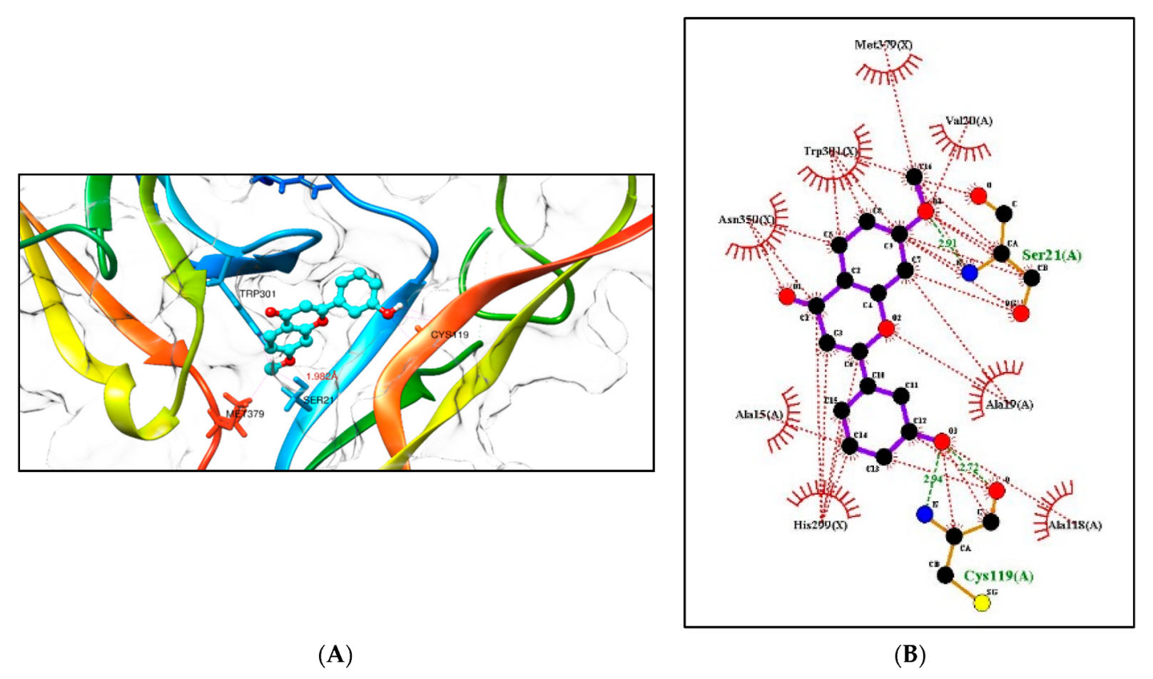 Molecules 28 07188 g007