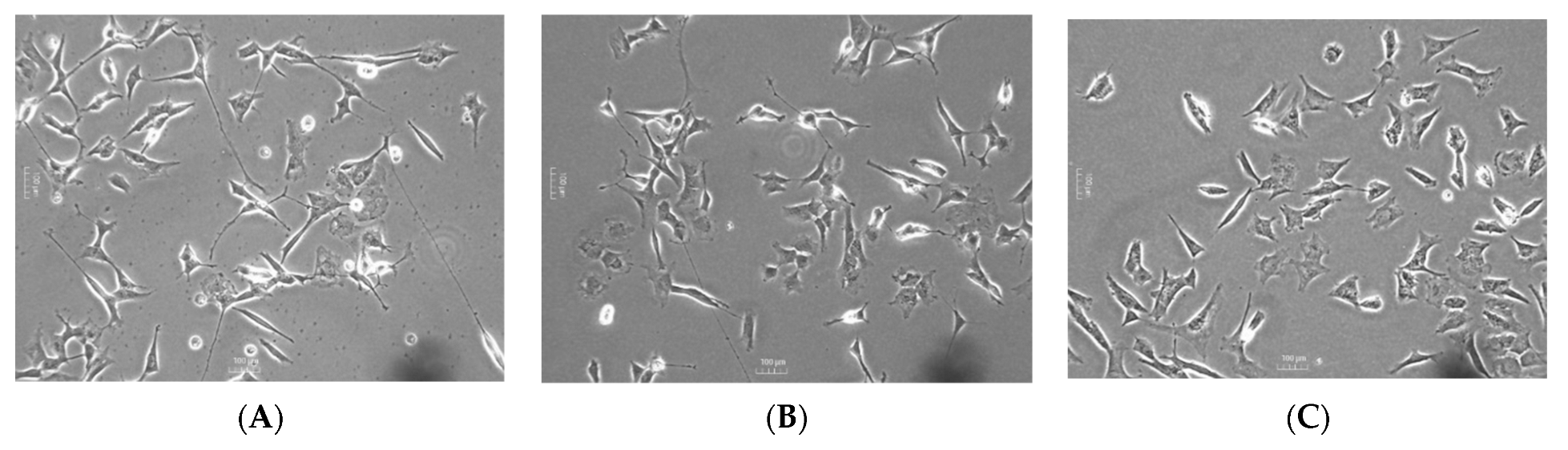 Molecules 28 07188 g012