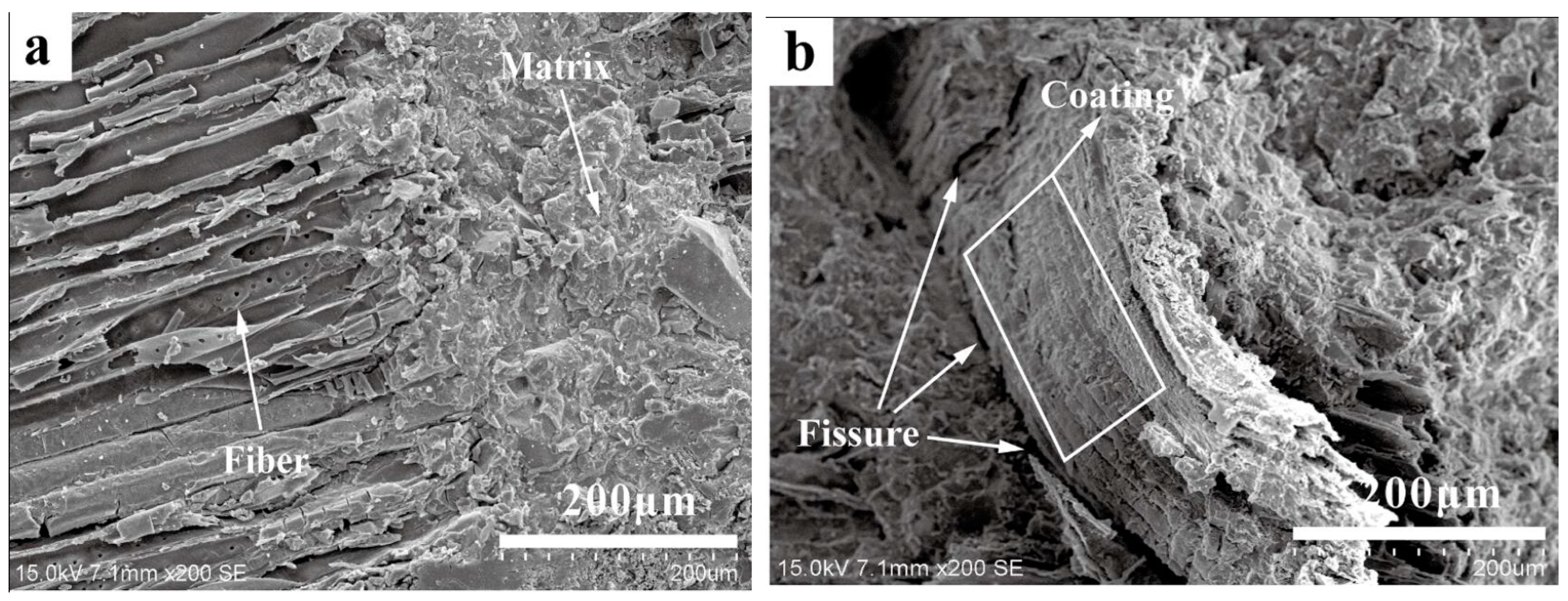 Molecules 28 07189 g008a