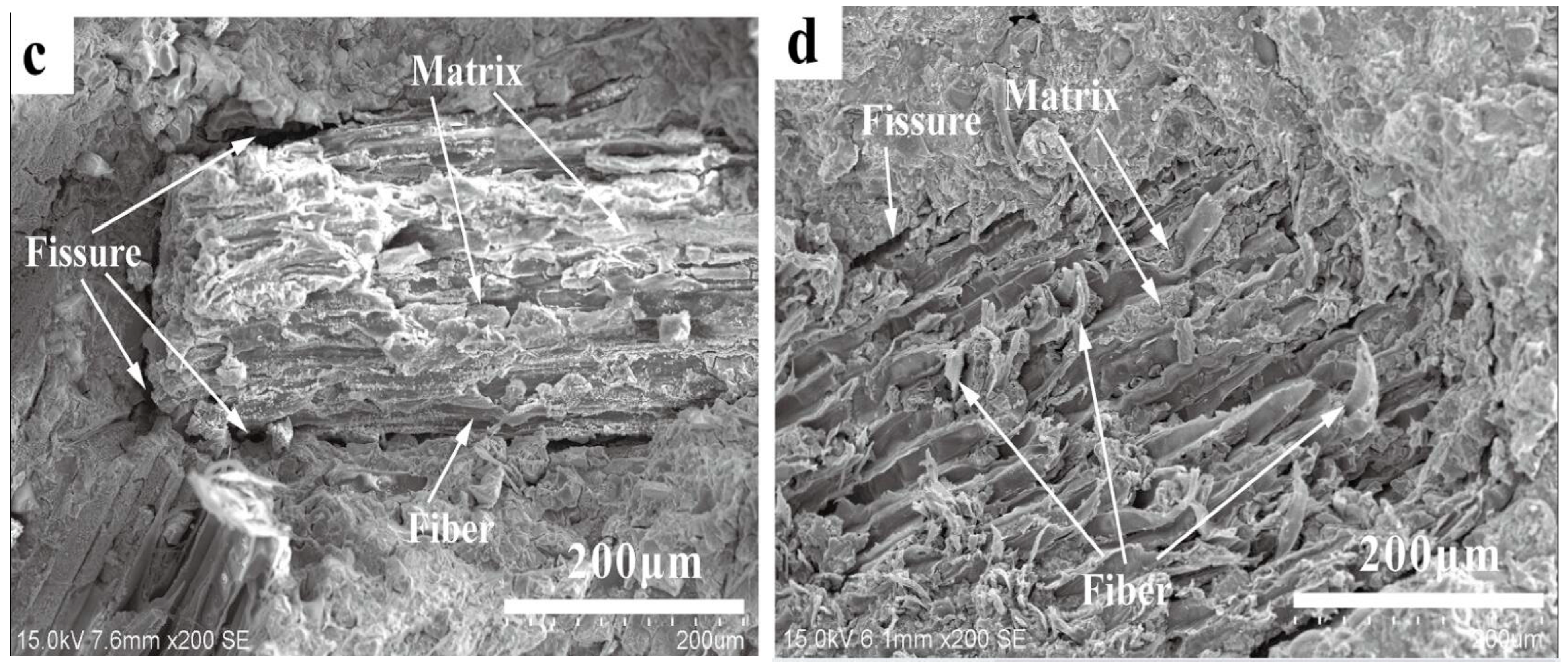Molecules 28 07189 g008b