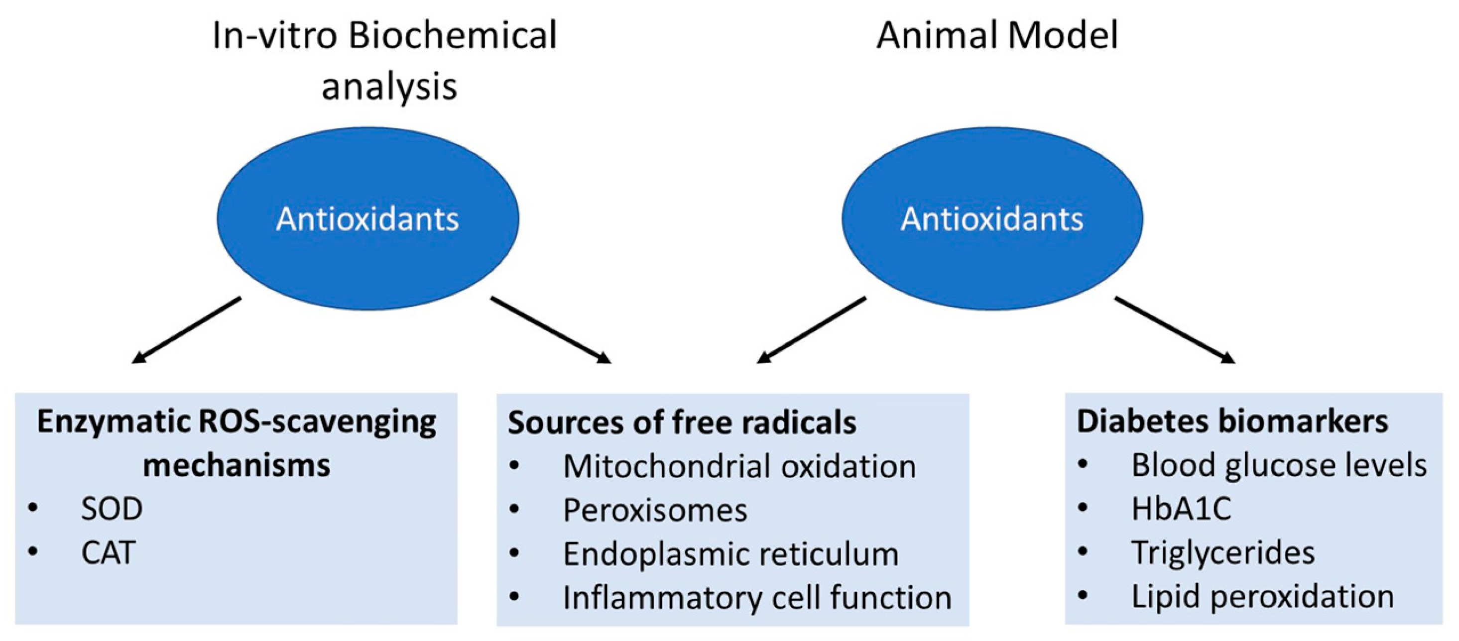 Molecules 28 07209 g004 Molecules 28 07209 g004