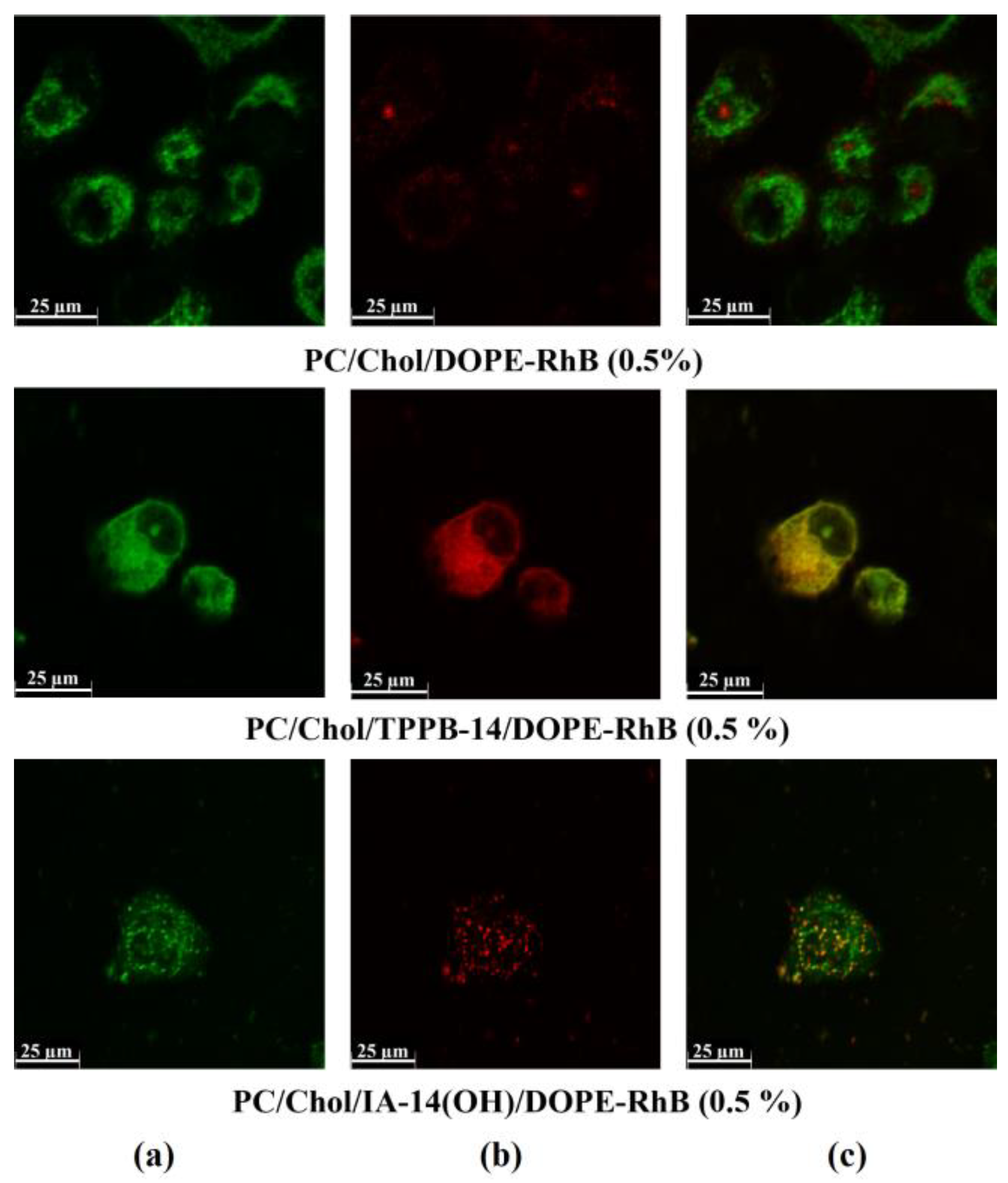 Molecules 28 07229 g005