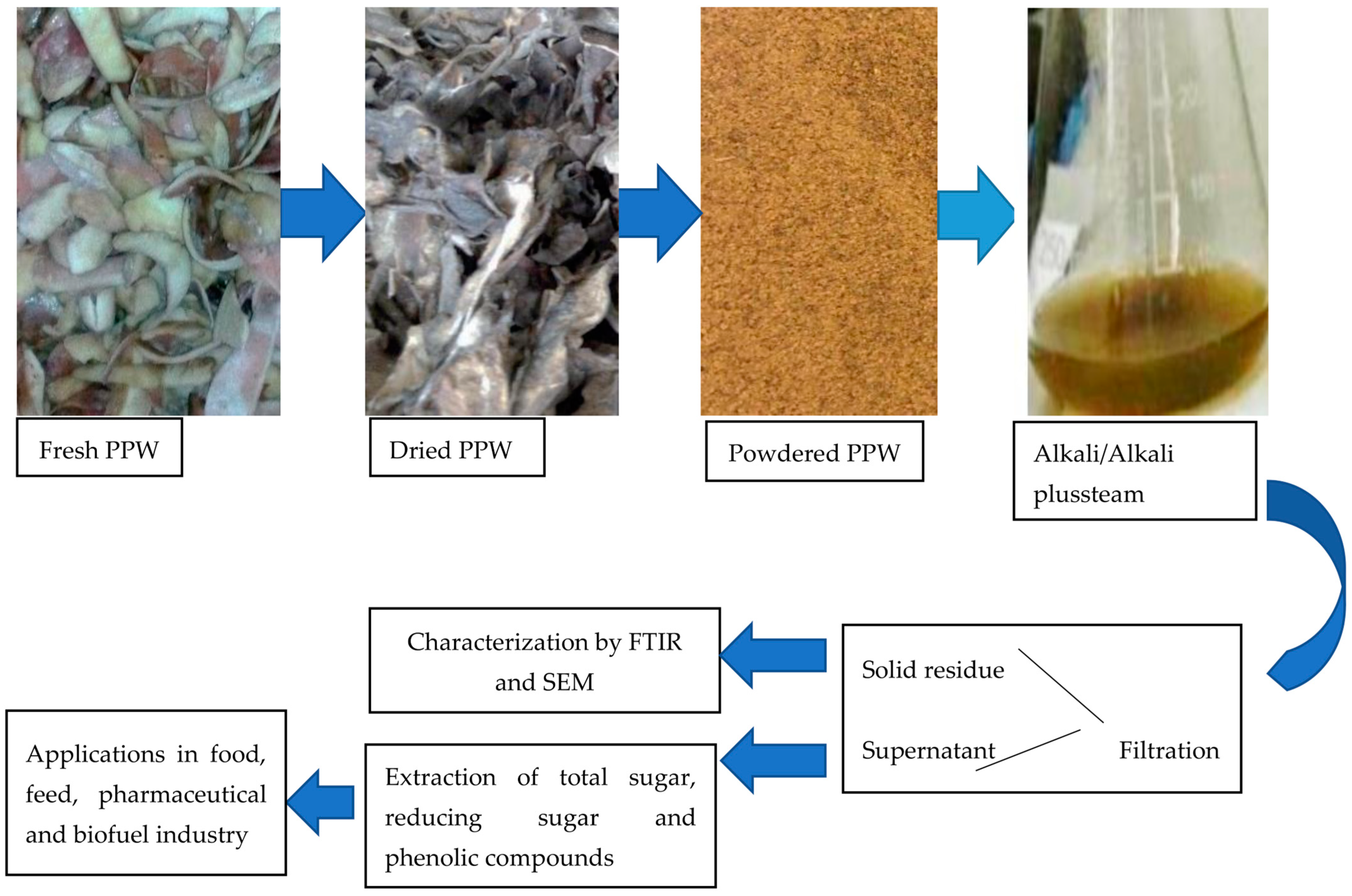 Molecules 28 07250 g007