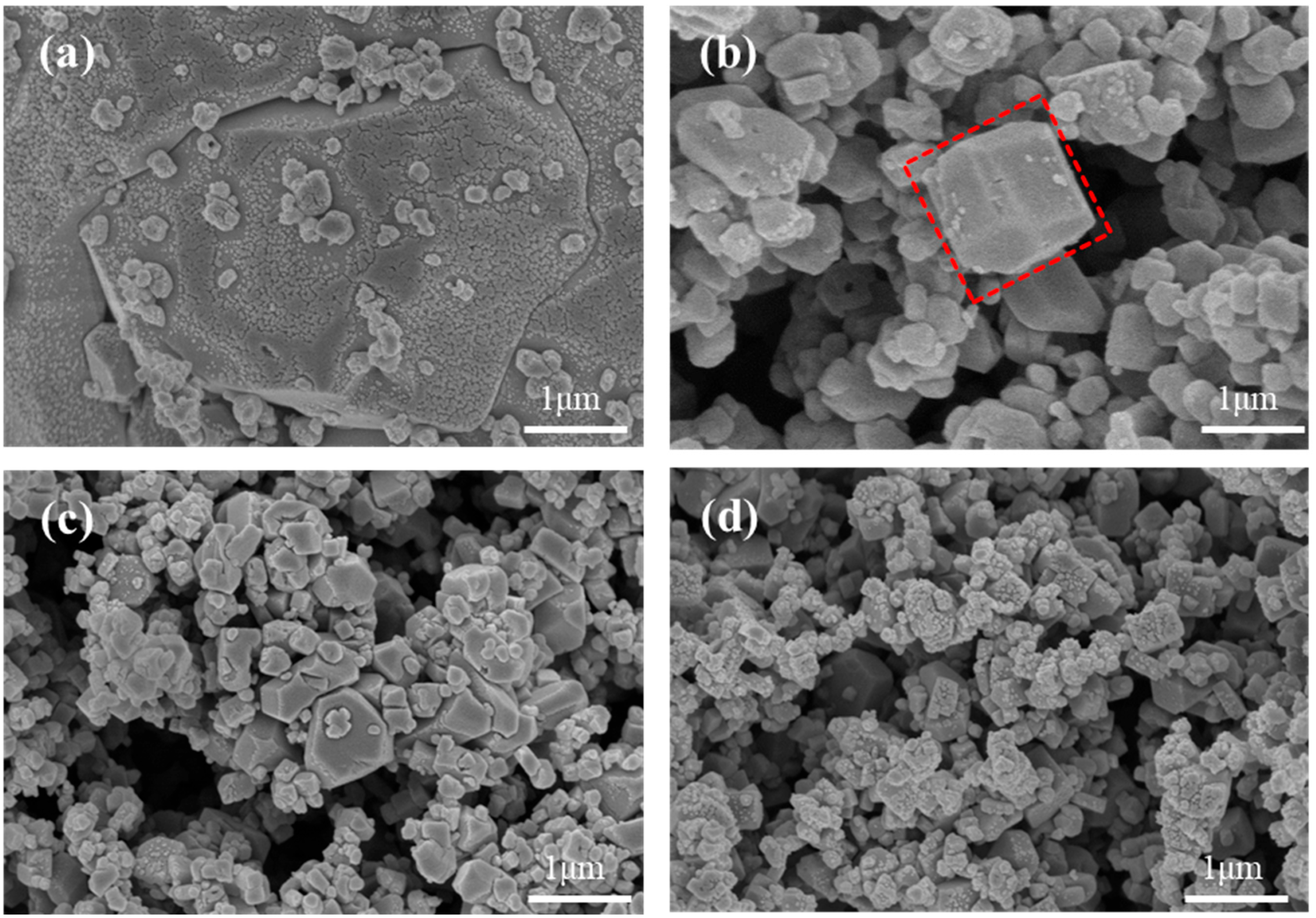 Molecules 28 07267 g008