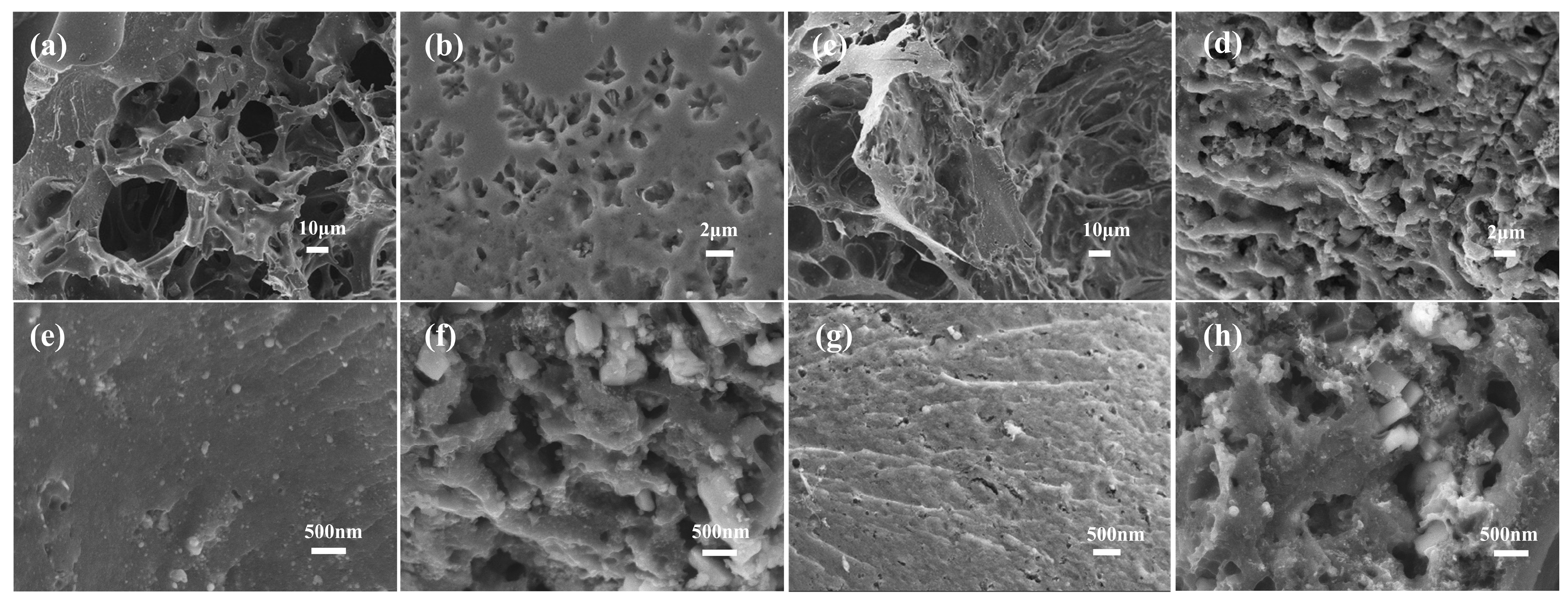 Molecules 28 07280 g002