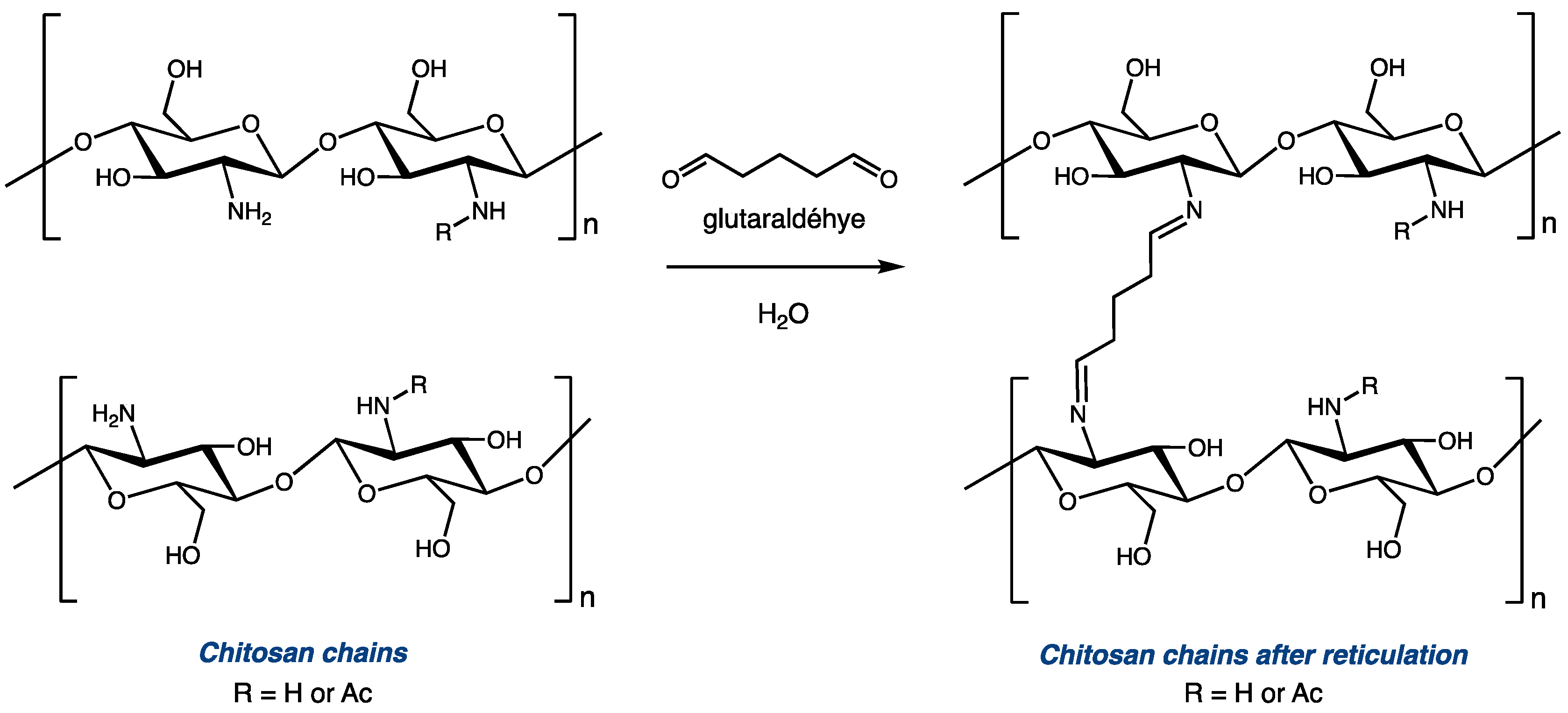 Molecules 28 07294 g001
