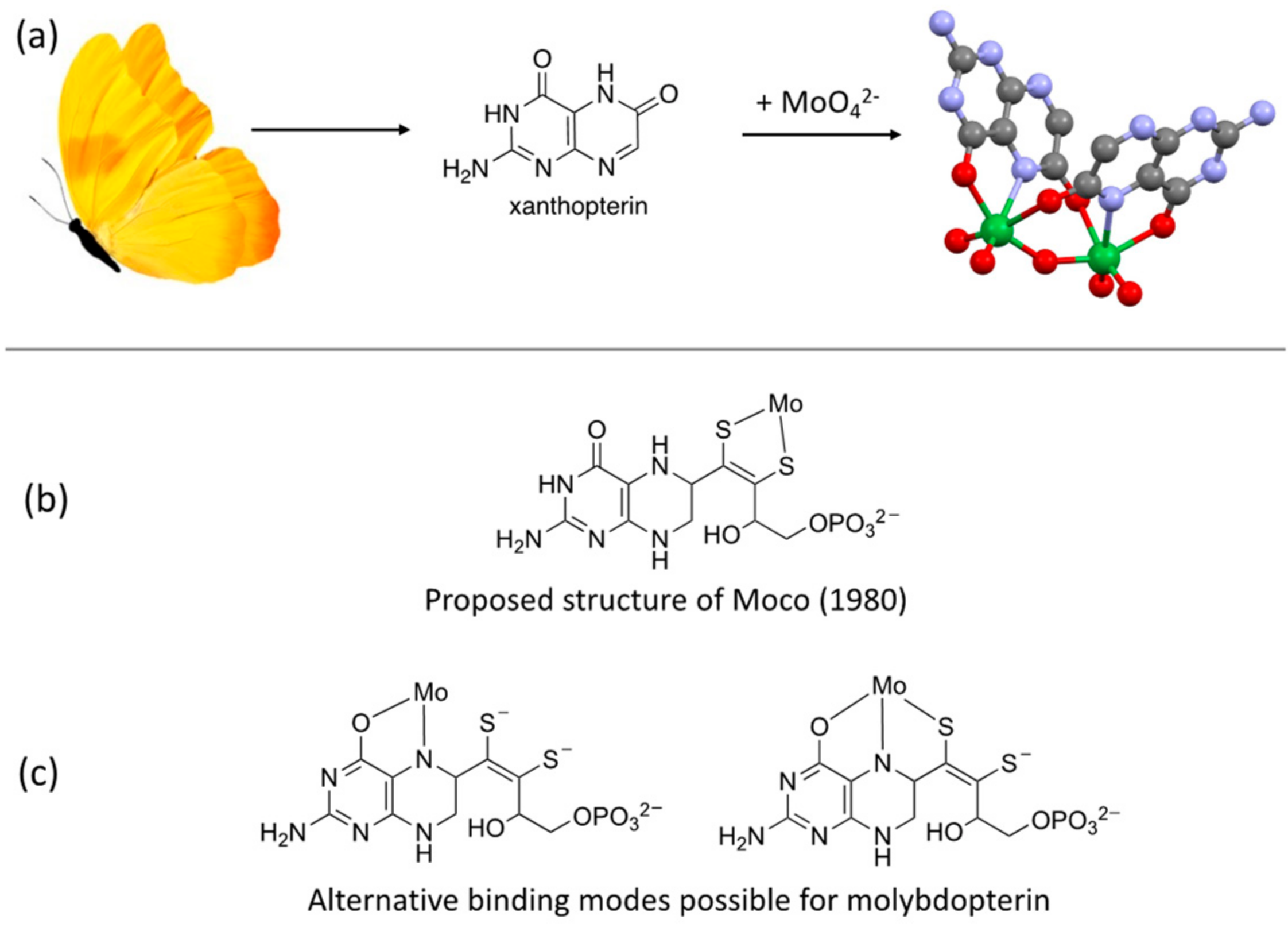 Molecules 28 07296 g001 Molecules 28 07296 g001