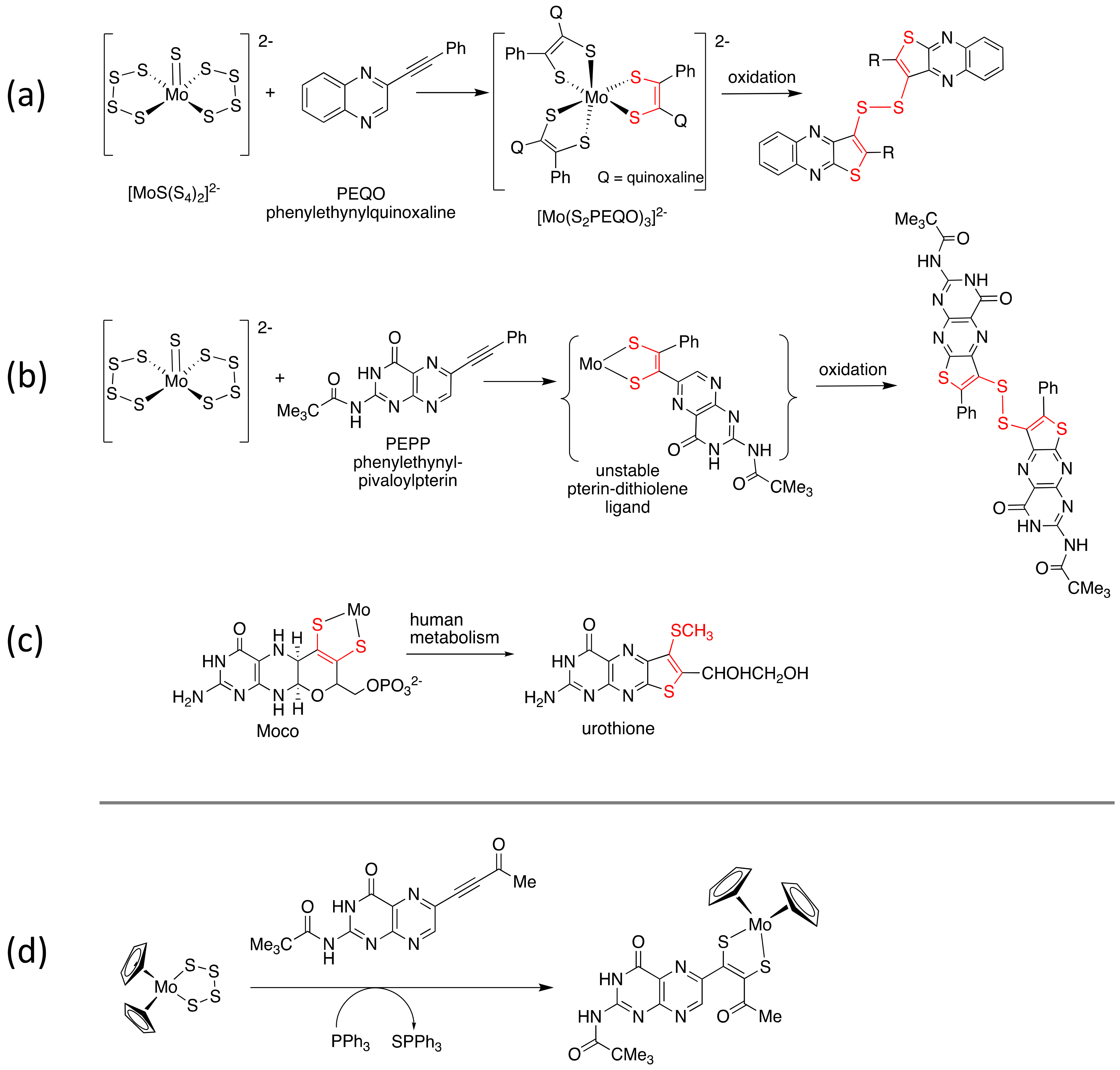 Molecules 28 07296 g002 Molecules 28 07296 g002
