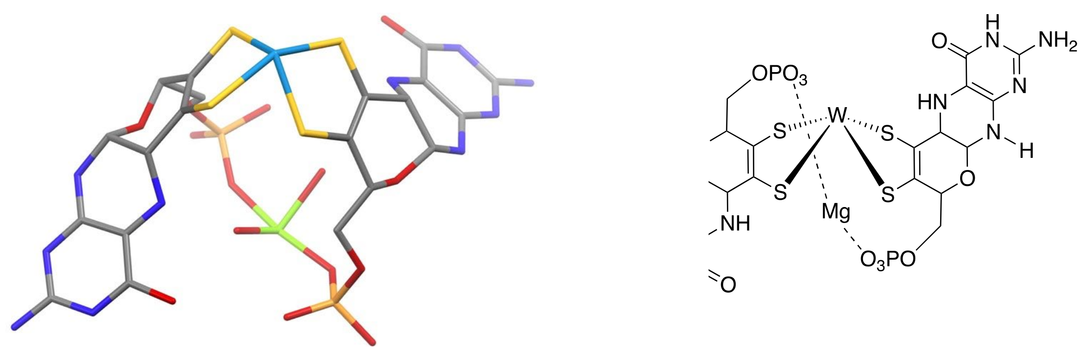 Molecules 28 07296 g005 Molecules 28 07296 g005