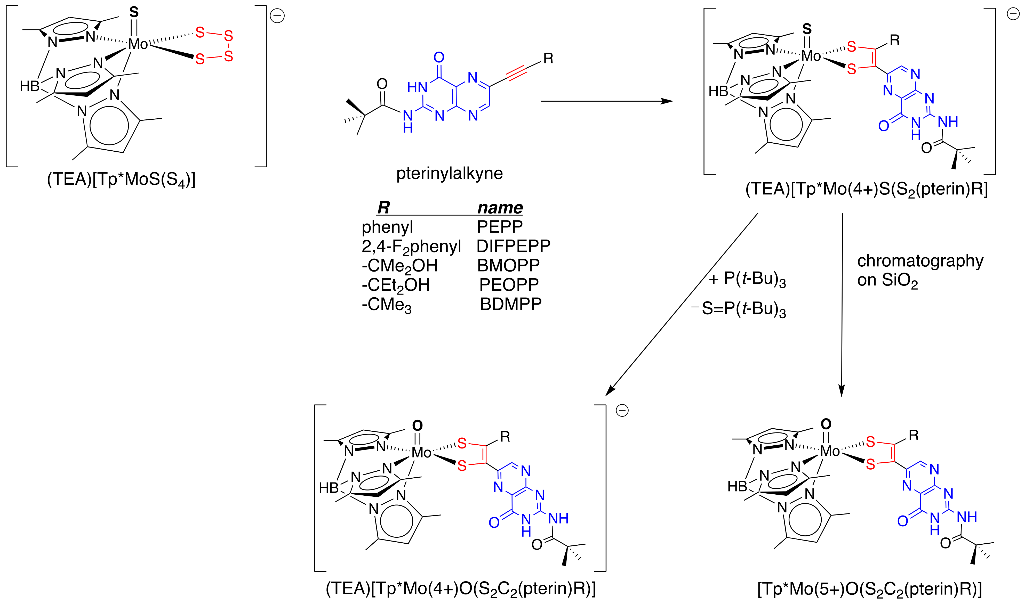 Molecules 28 07296 g007 Molecules 28 07296 g007
