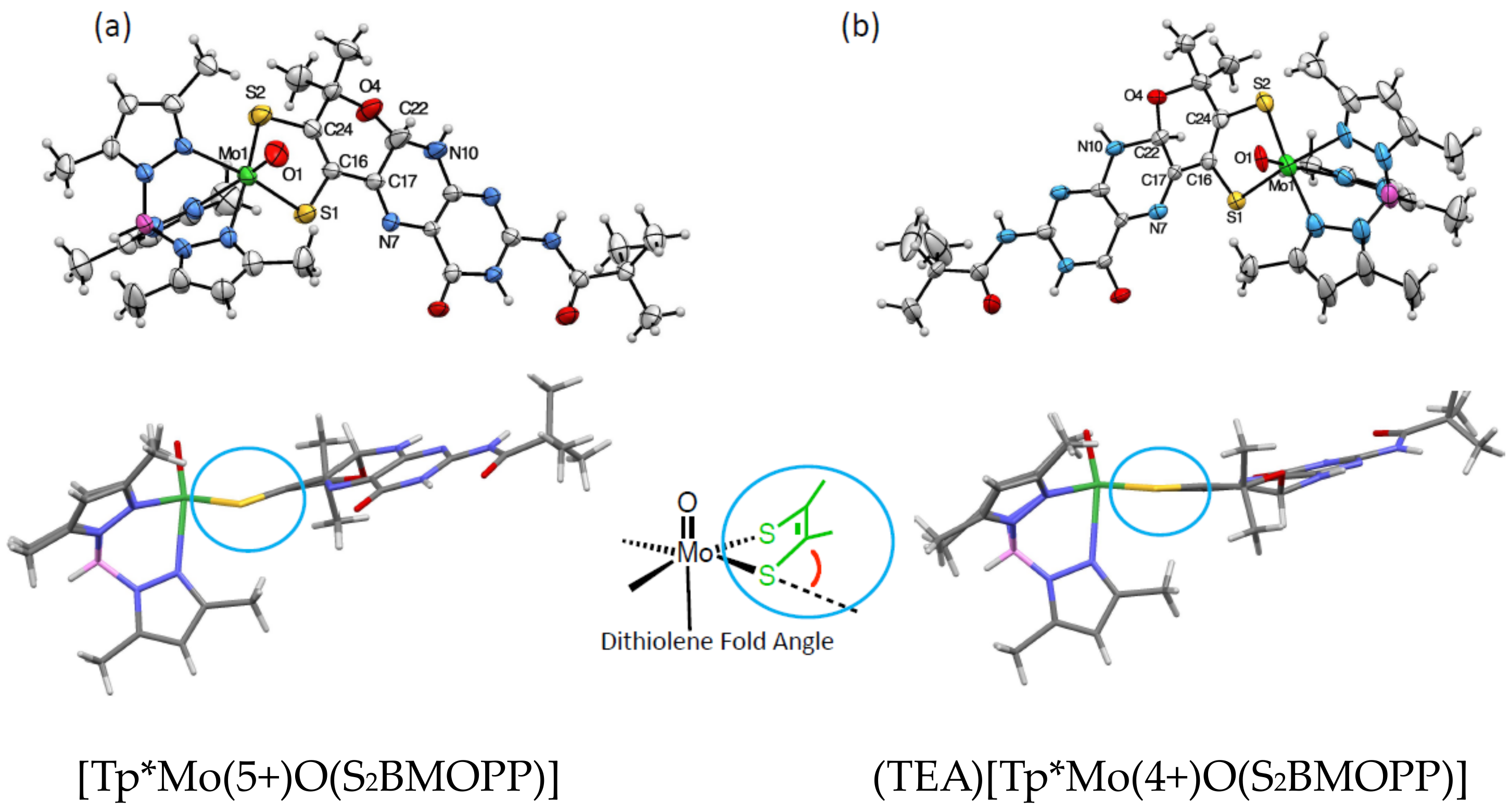 Molecules 28 07296 g009 Molecules 28 07296 g009