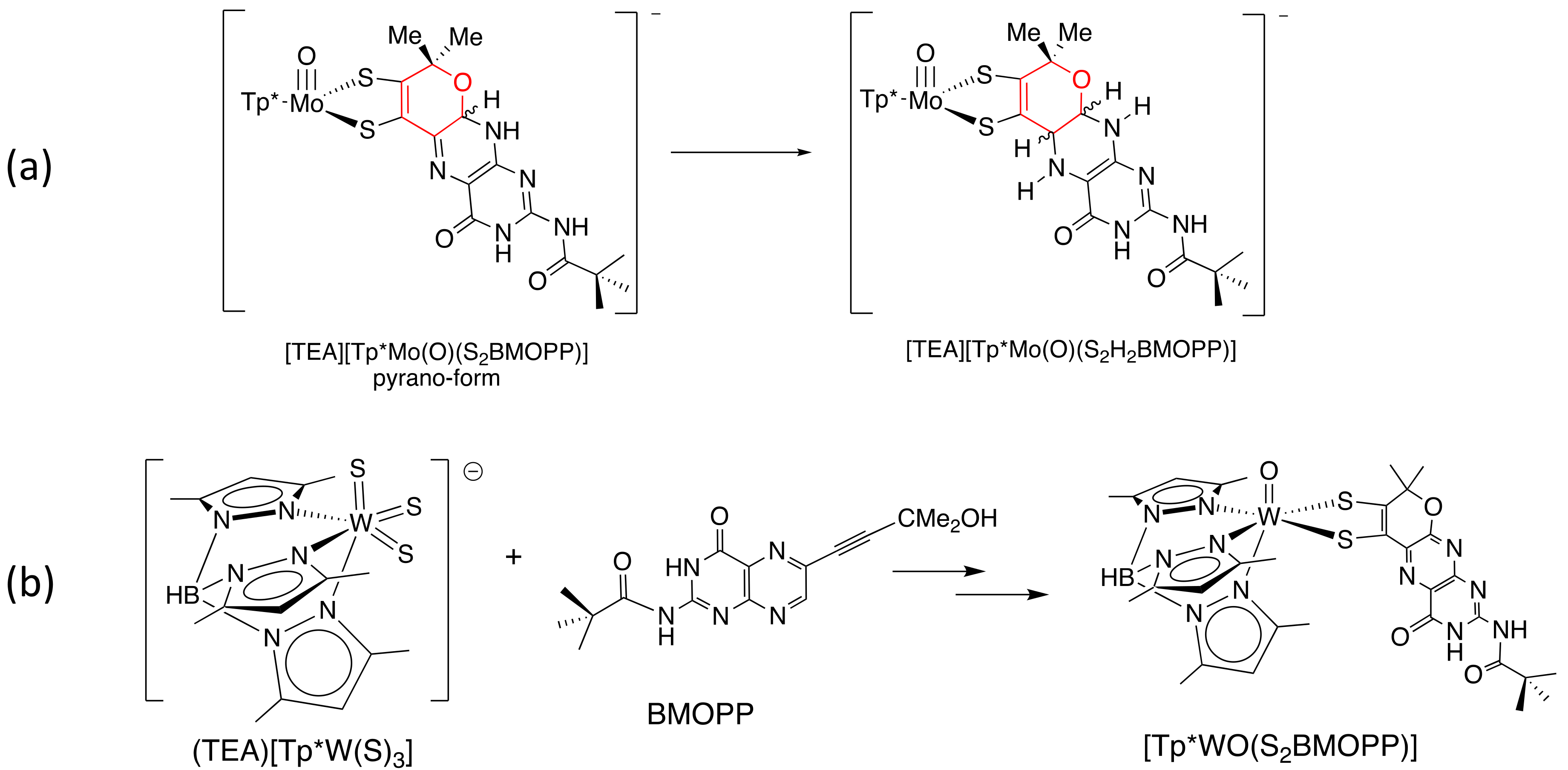 Molecules 28 07296 g013 Molecules 28 07296 g013