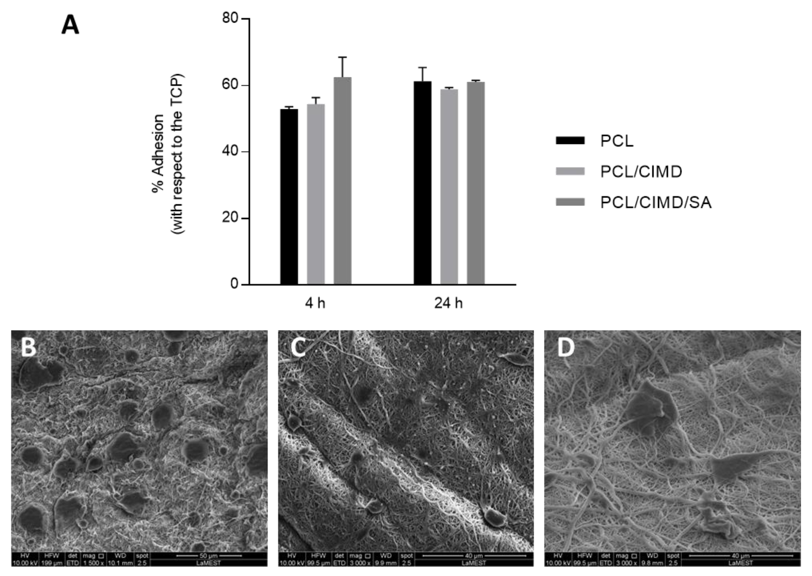Molecules 28 07305 g006