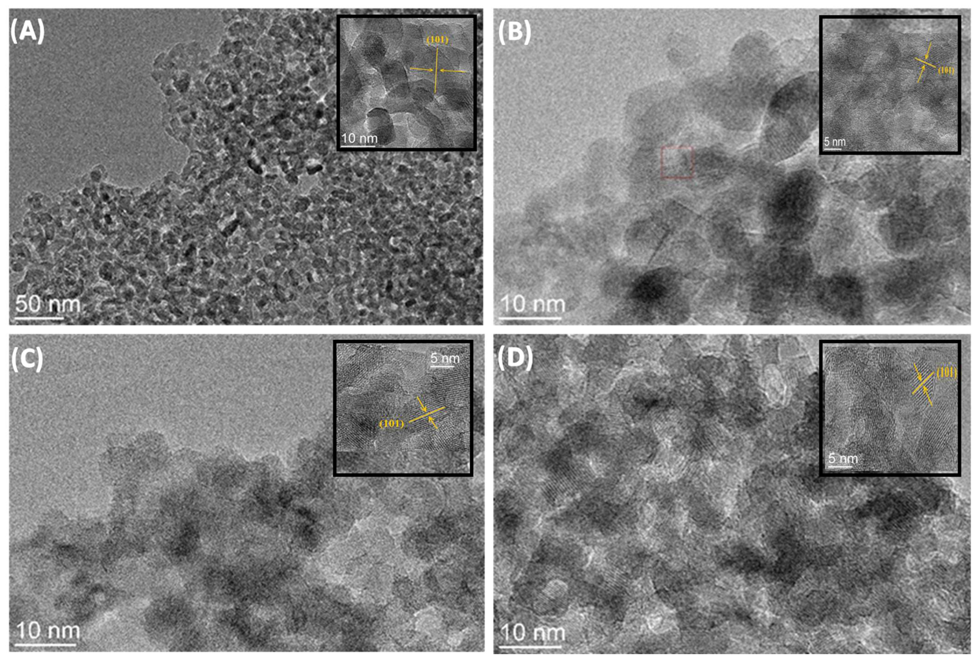 Molecules 28 07326 g005