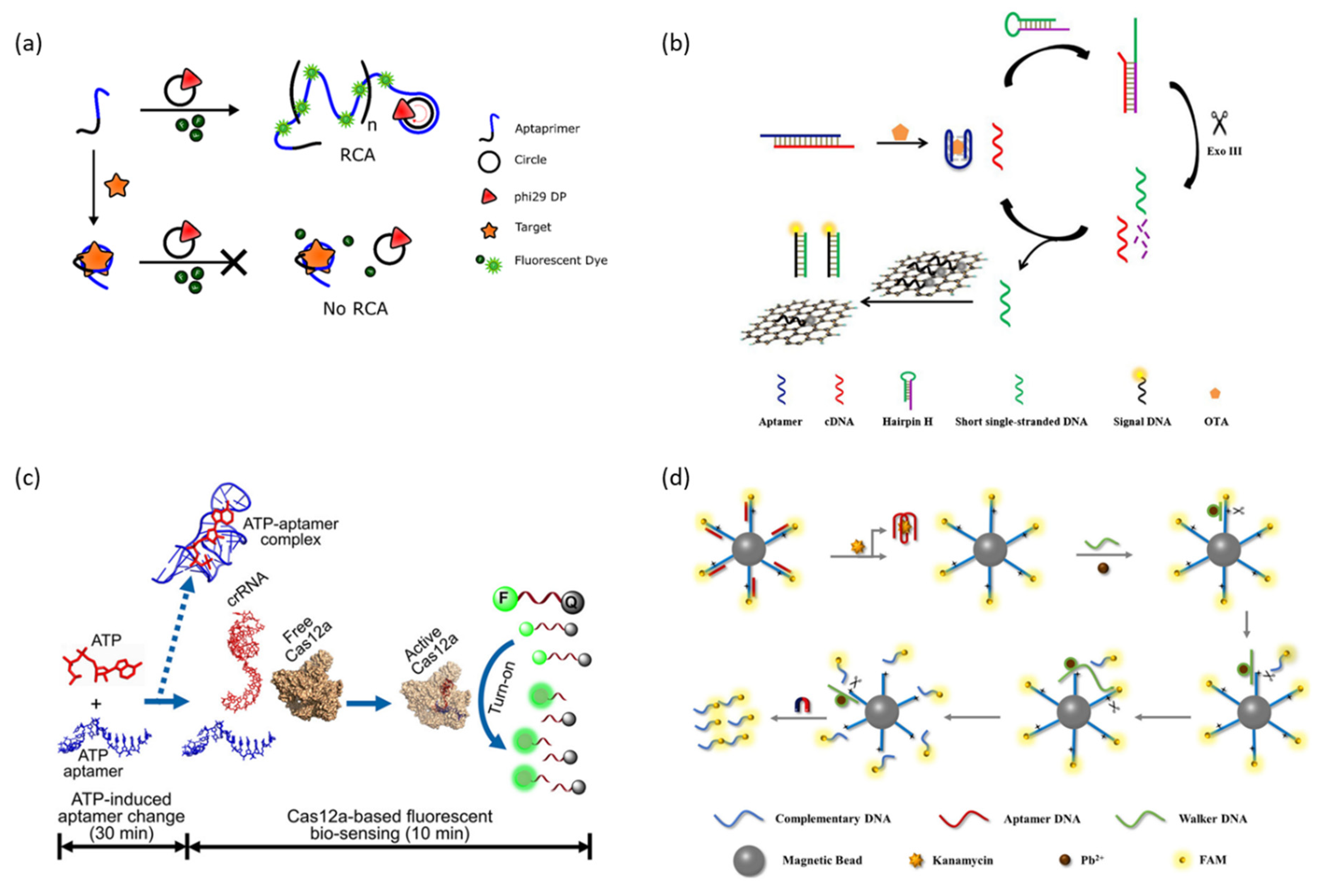 Molecules 28 07327 g006