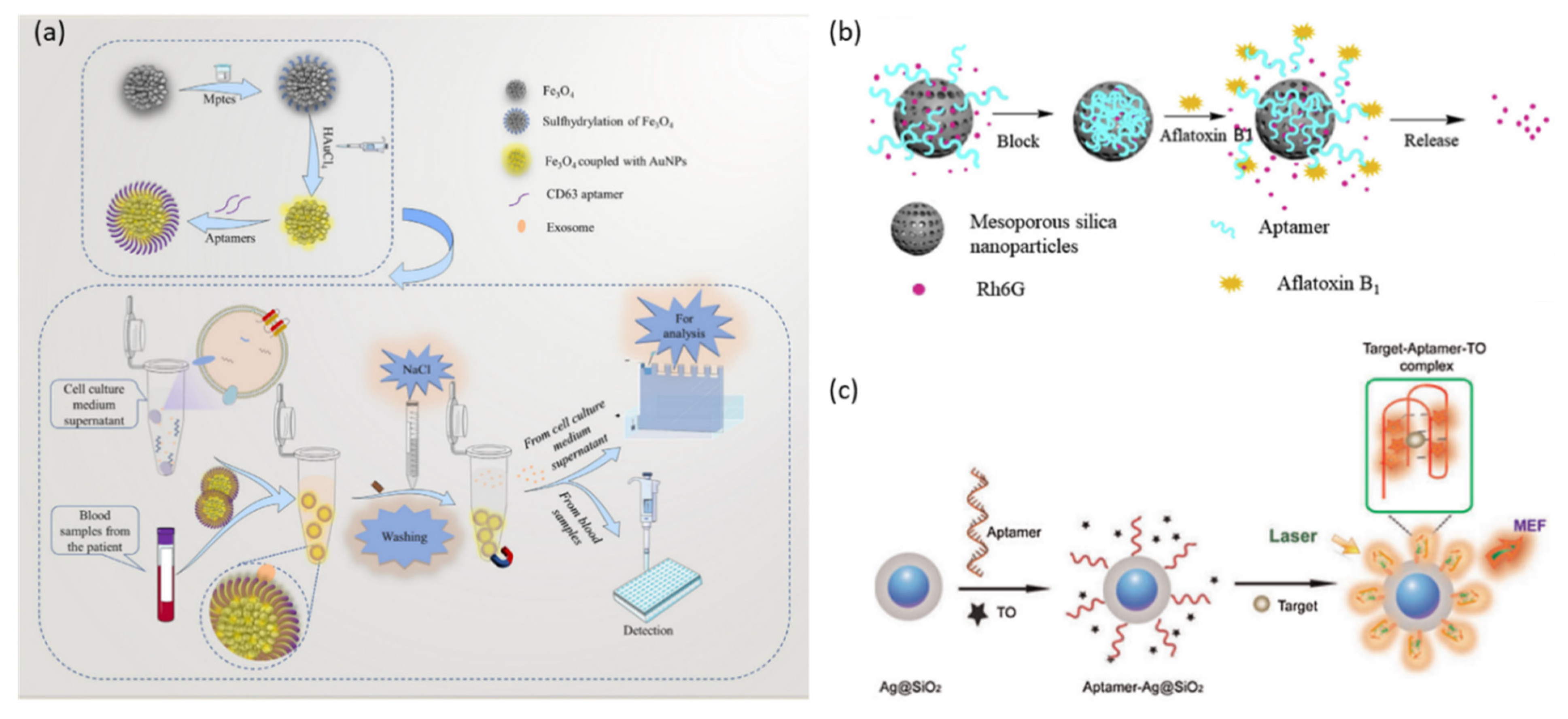 Molecules 28 07327 g007