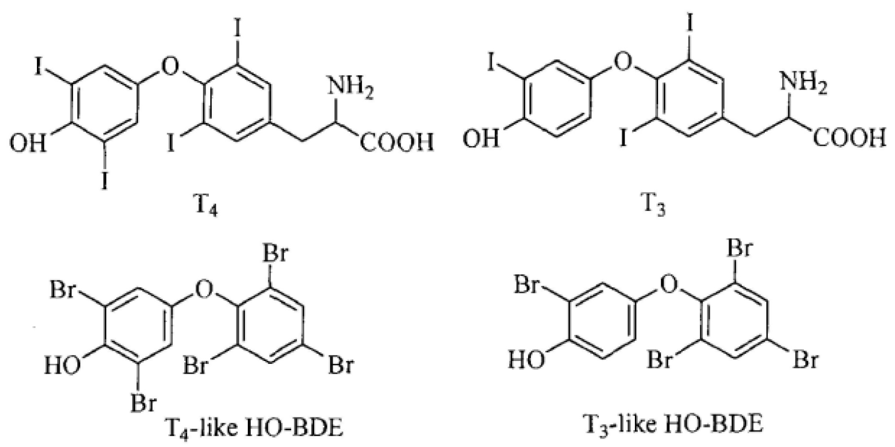 Molecules 28 07374 g001