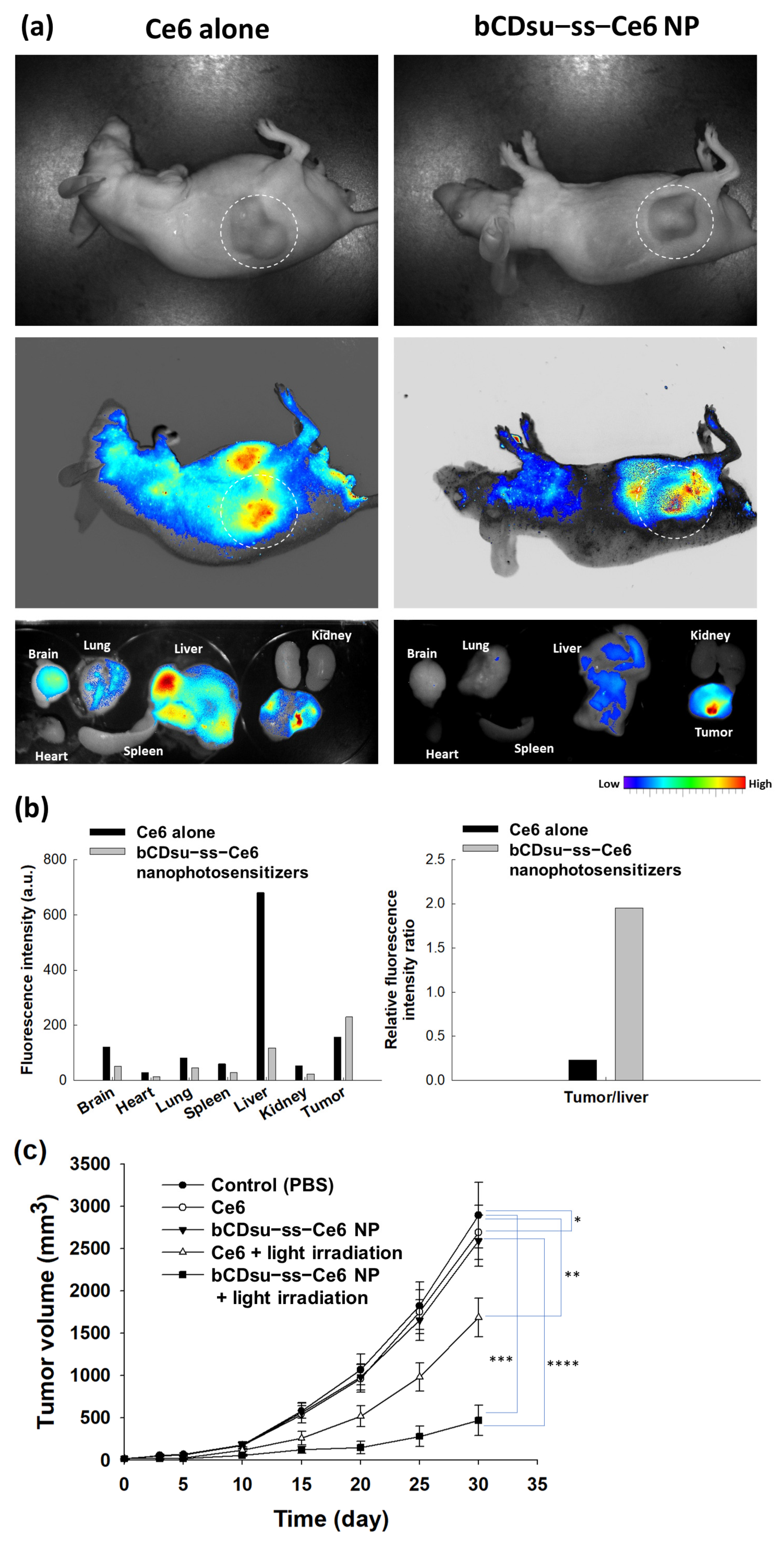 Molecules 28 07398 g009